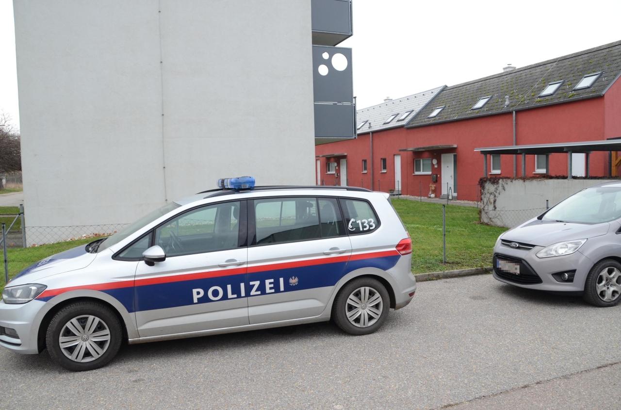 Die Beamten konnten die Einbrüche aufklären.