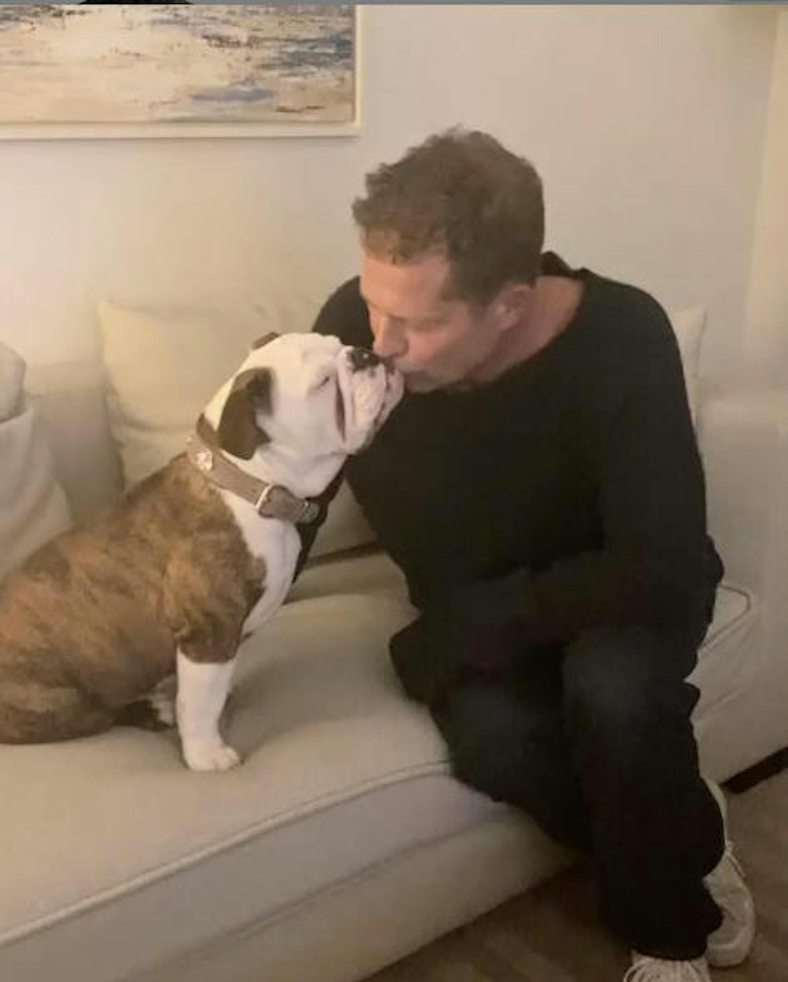 25.11.2019: Eklig oder süß? Til Schweiger küsst hier seine Bulldogge Wilma auf den Mund. "Französische Küsse mit einer englischen Bulldogge sind die besten", schrieb er dazu.