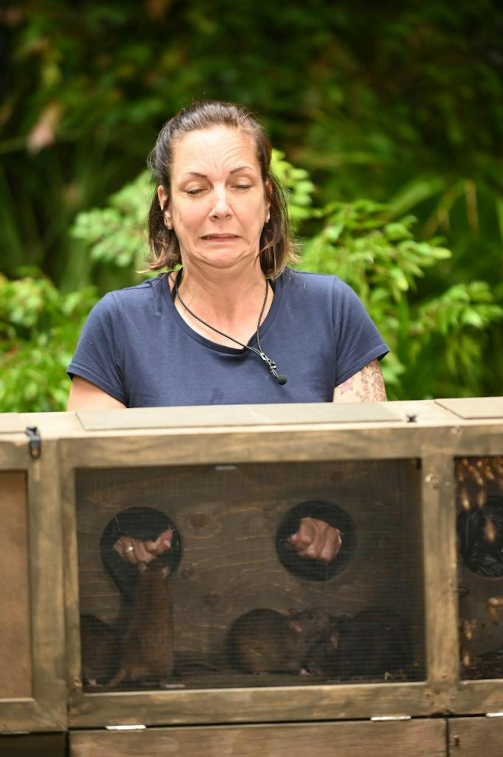 So schaut Danni Büchner drein, wenn sie es mit Ratten zu tun bekommt. Ihre Finger sind kaum in der Box. Was hat sich Danni eigentlich vorher vorgestellt, wie das Dschungelcamp wird? Niemanden außer sie überraschen die Ekelprüfungen.