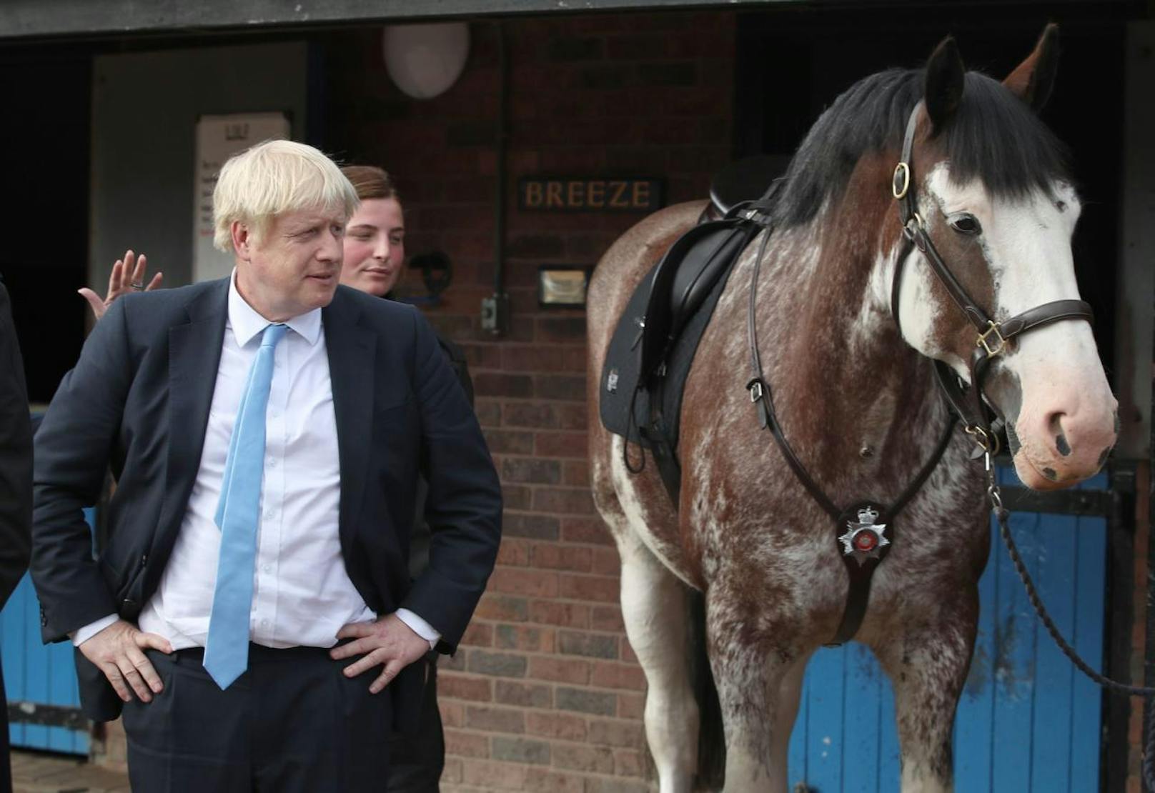 Der britische Premierminister Boris Johnson wirkt eher skeptisch gegenüber den edlen Vierbeinern.