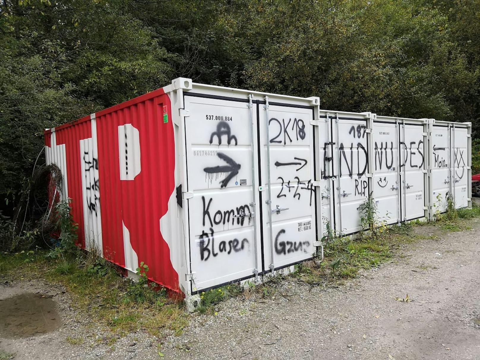 Die Graffitis des 15-Jährigen aus Wiesing im Tiroler Bezirk Schwaz sprechen eine unmissverständliche Sprache: 'Komm Blasen' oder 'Send Nudes'- Schriftzüge sowie Penis-Abbildungen!