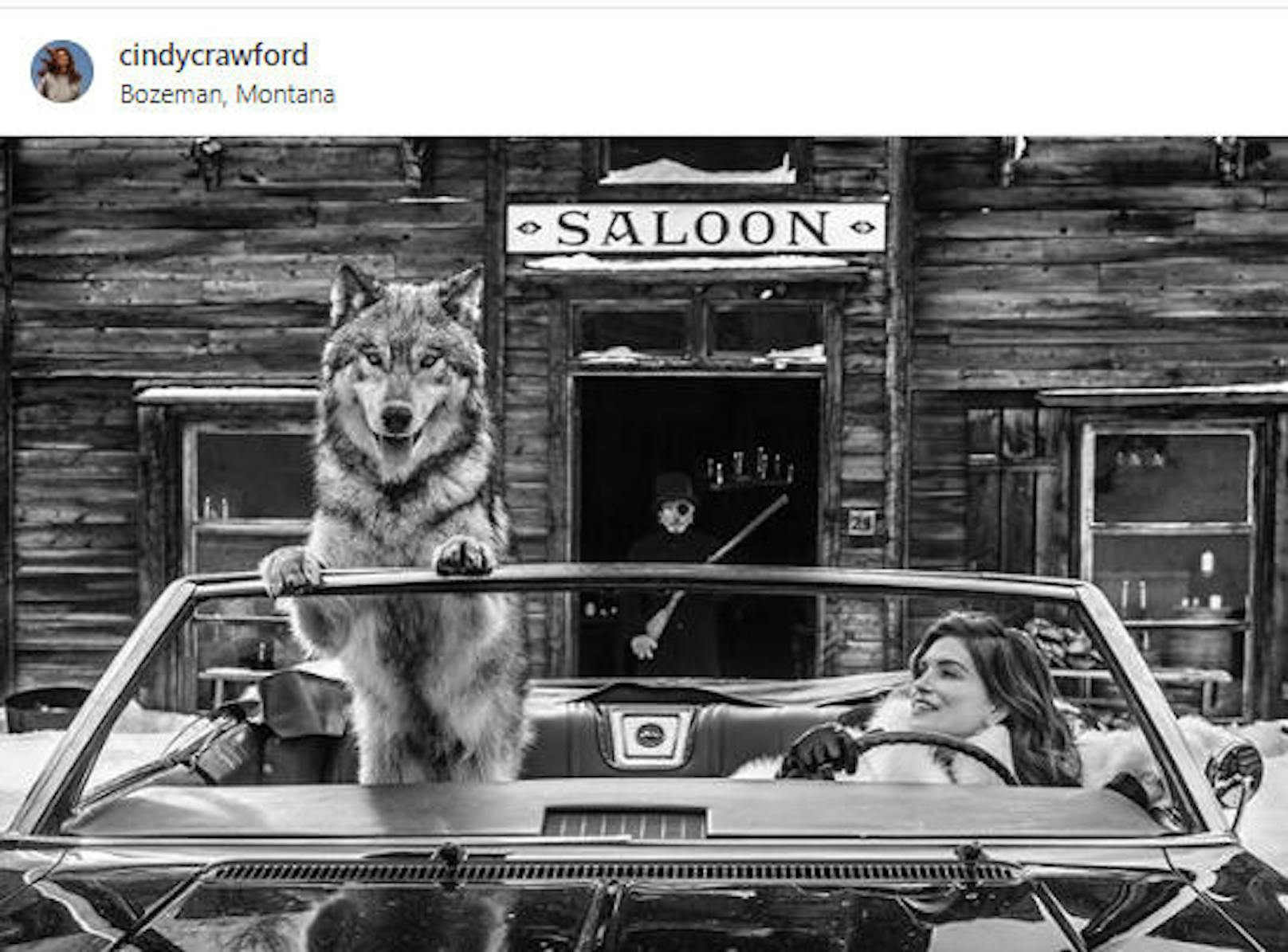 07.02.2019: Die mit dem Wolf fährt: Cindy Crawford freut sich ganz offensichtlich, beim Fotoshooting nicht im Mittelpunkt zu stehen. Beeindruckend!