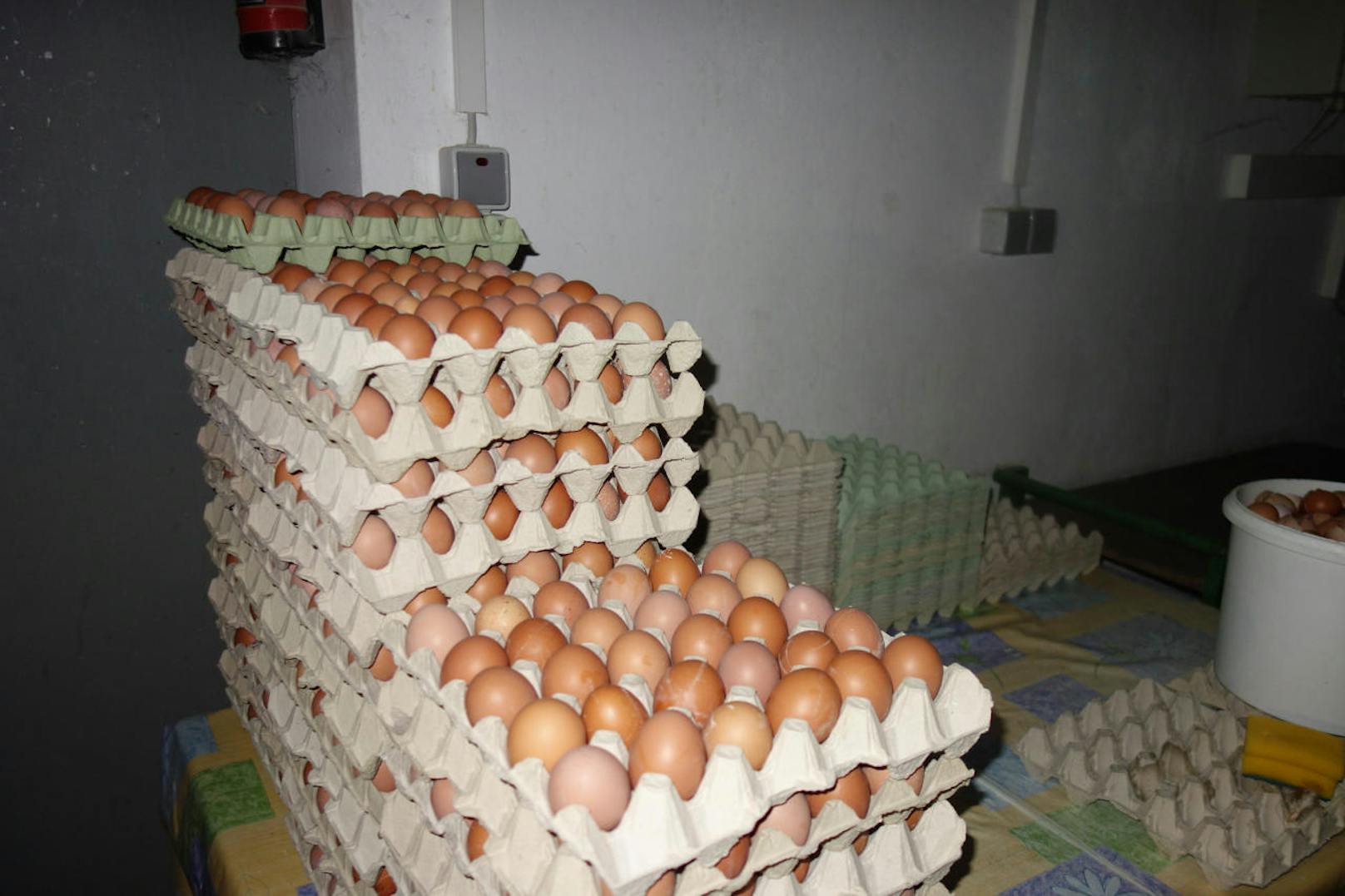 Der Bauer aus Niederösterreich verkauft die Eier der Hennen als "Bodenhaltung" (Nummer "2").