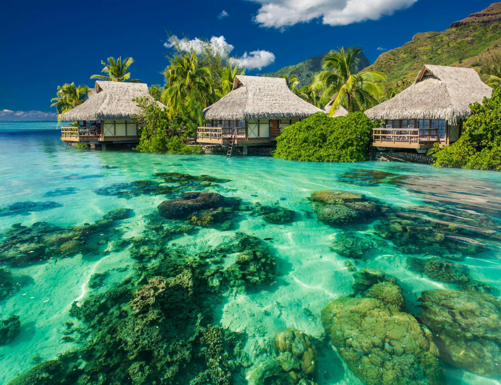 «Ich war noch nie auf Tahiti, und sehe es im Moment überall ... Jedes Mal, wenn ich die Sendung Below Deck schaue, denke ich: Wir müssen unbedingt nach Tahiti! Es sieht so toll aus und ist definitiv auf meiner Bucket List.»