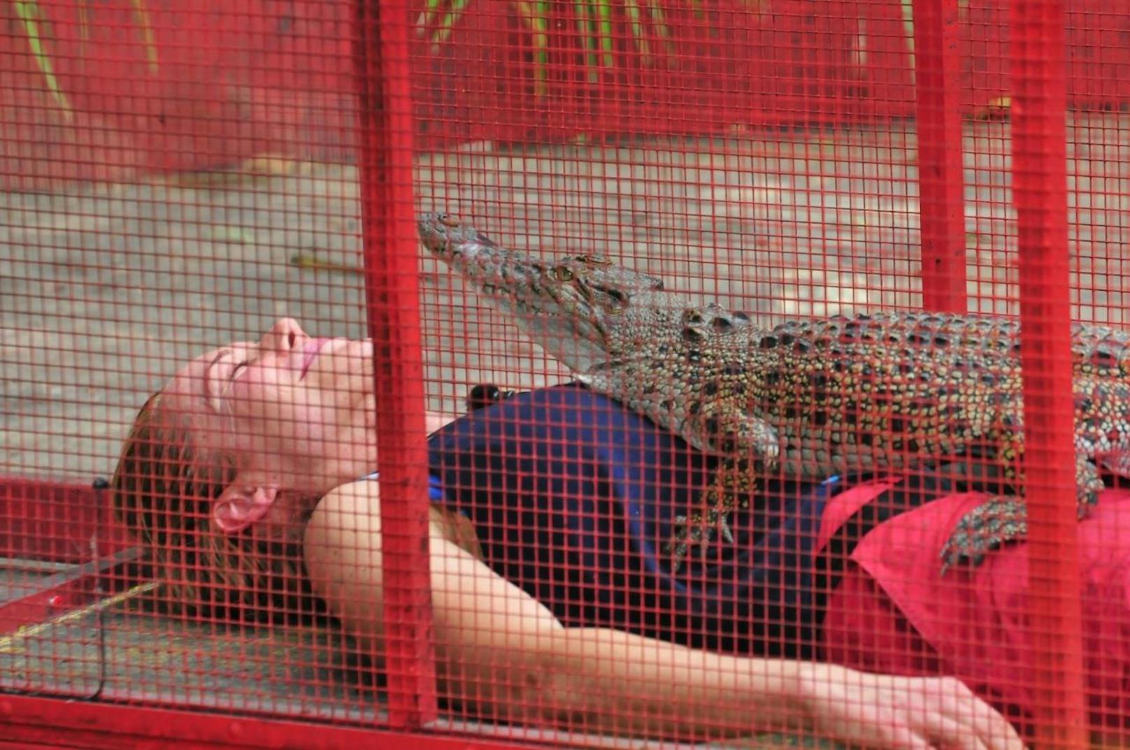 Doreen Dietel muss es mit einem Krokodil auf sich aushalten. Für Doreen hat die Prüfung keinen Schrecken. Sie entspannt sich und atmet mit dem Kroko im Gleichtakt. Leider entspannt sich auch das Krokodil - und pinkelt Doreen auf den Körper
