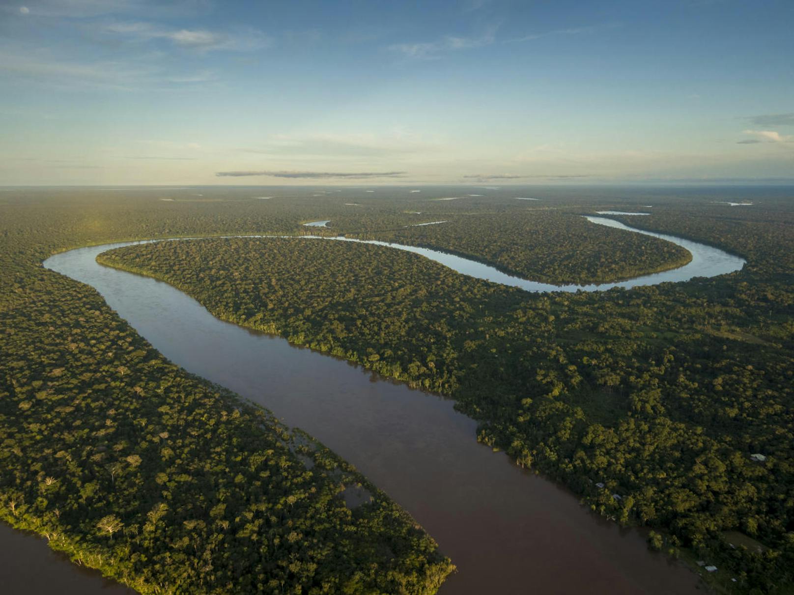 Regenwald in Brasilien: Im Sommer verbrannten weite Flächen des Amazonaswaldes. Jetzt leitet der WWF ein Projekt, durch das ein Tausende Kilometer langer Wanderweg entstehen soll.