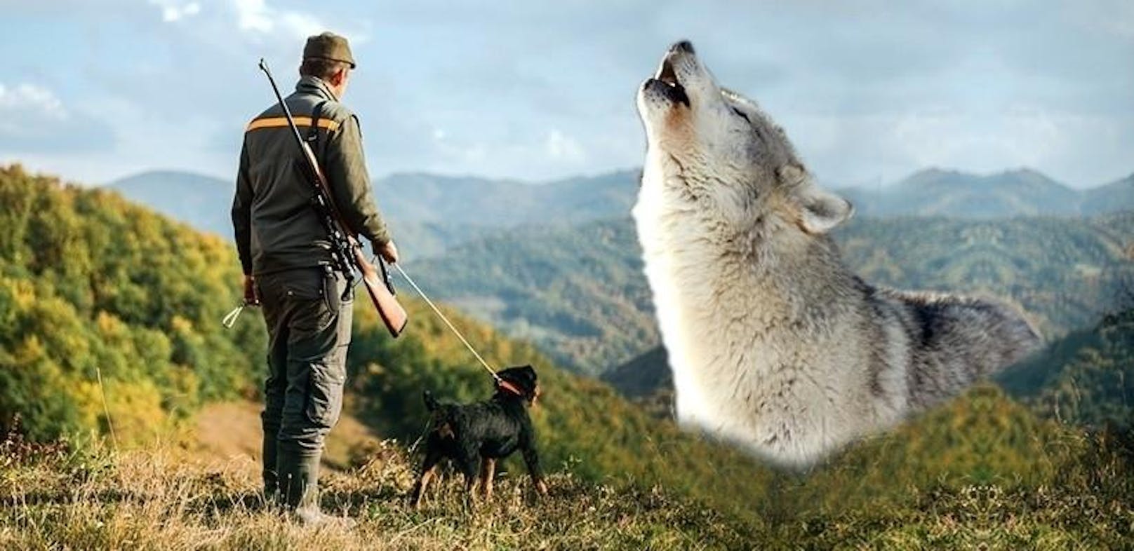 Schießen, schaufeln, schweigen - die illegale Wildtierjagd hat in Österreich traurige Tradition. <b>Wölfe: </b> Gab es in Österreich 2018 noch drei Wolfsrudel, war es 2019 nur noch eines. Die Rudel scheinen spurlos zu verschwinden. Der oder die Unbekannte, der/die 2019 einen Wolf im  Wald (Sellrain) abschoss und den Kopf abschnitt, wurde bis heute nicht ausgeforscht.