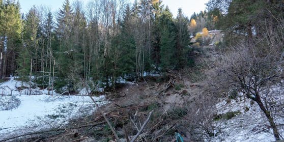 Eine zweite Mure verletzte die B99 in Kärnten.