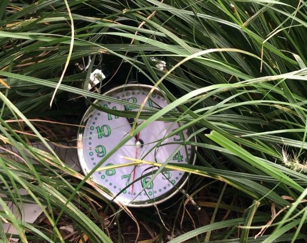 Heute.at - Klimakrise ist größte Herausforderung unserer Zeit