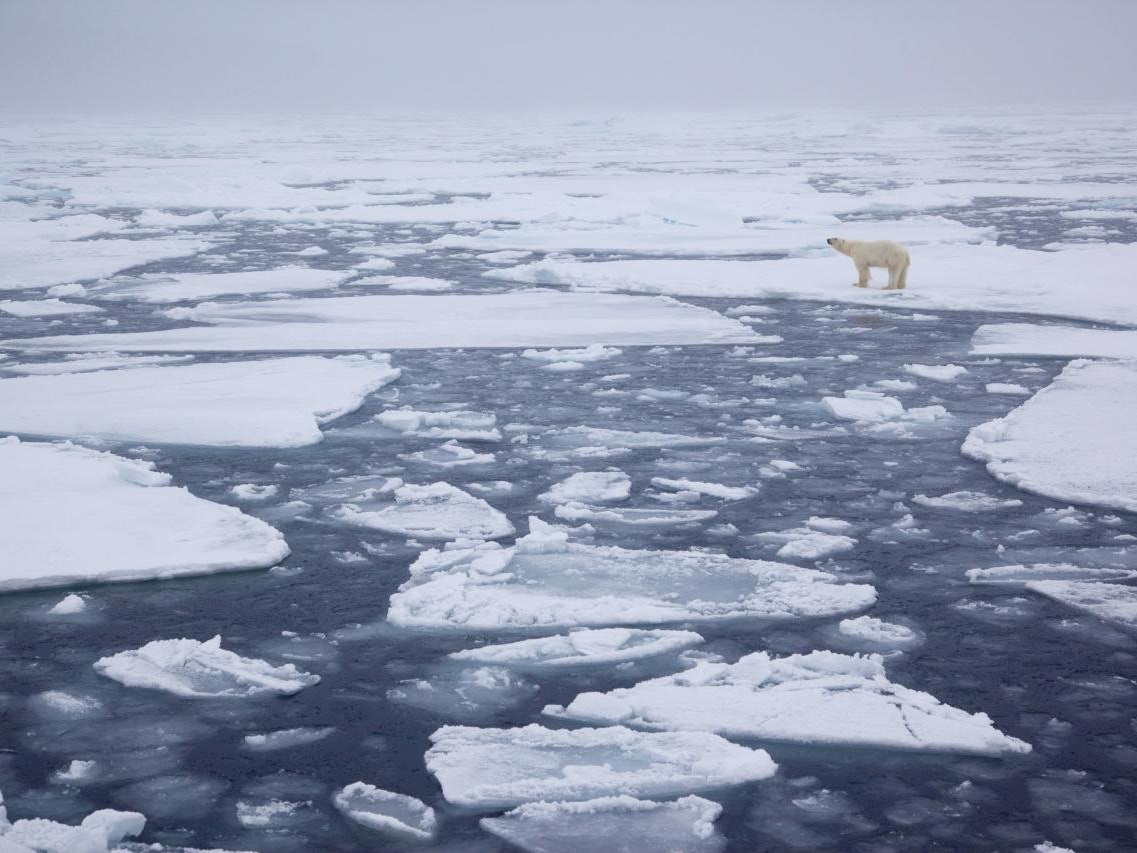 In der Arktis fanden sich die Mikroplastikteilchen etwa auf der Insel Spitzbergen, aber selbst im Schnee auf treibenden Eisschollen.