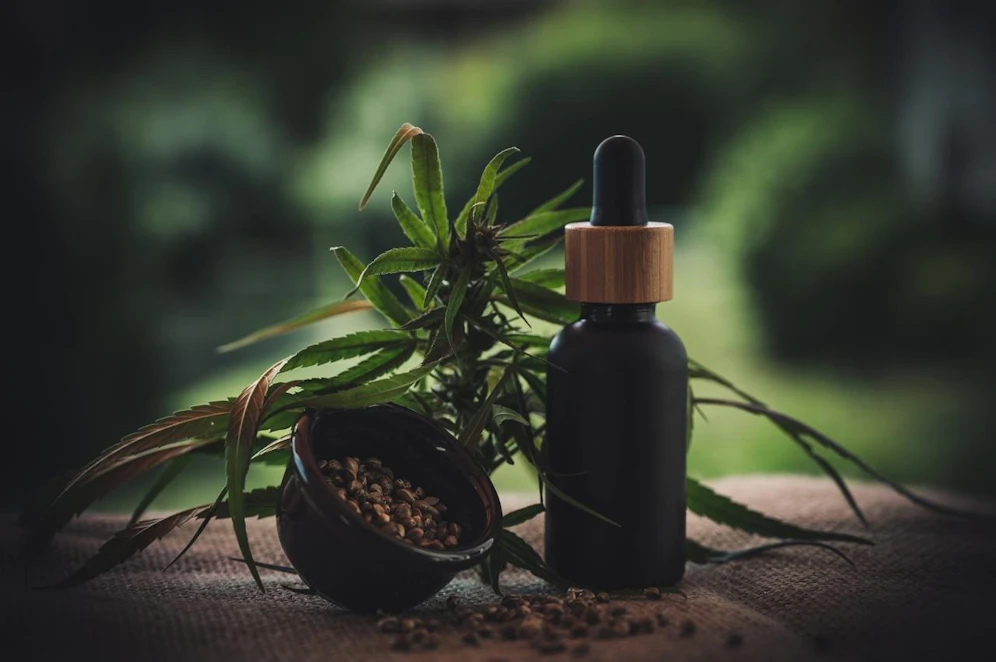 CBD ist ein Inhaltsstoff, der in unterschiedlichen Hanfarten enthalten ist.