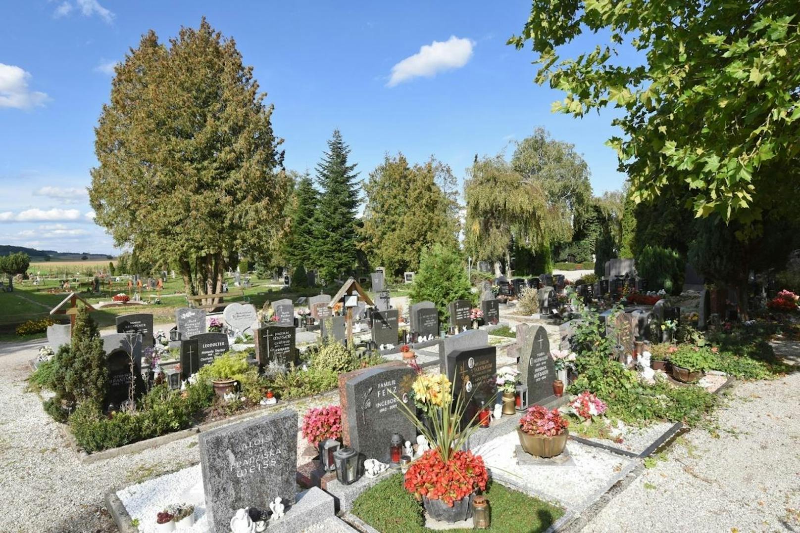 Der Friedhof in St. Pölten