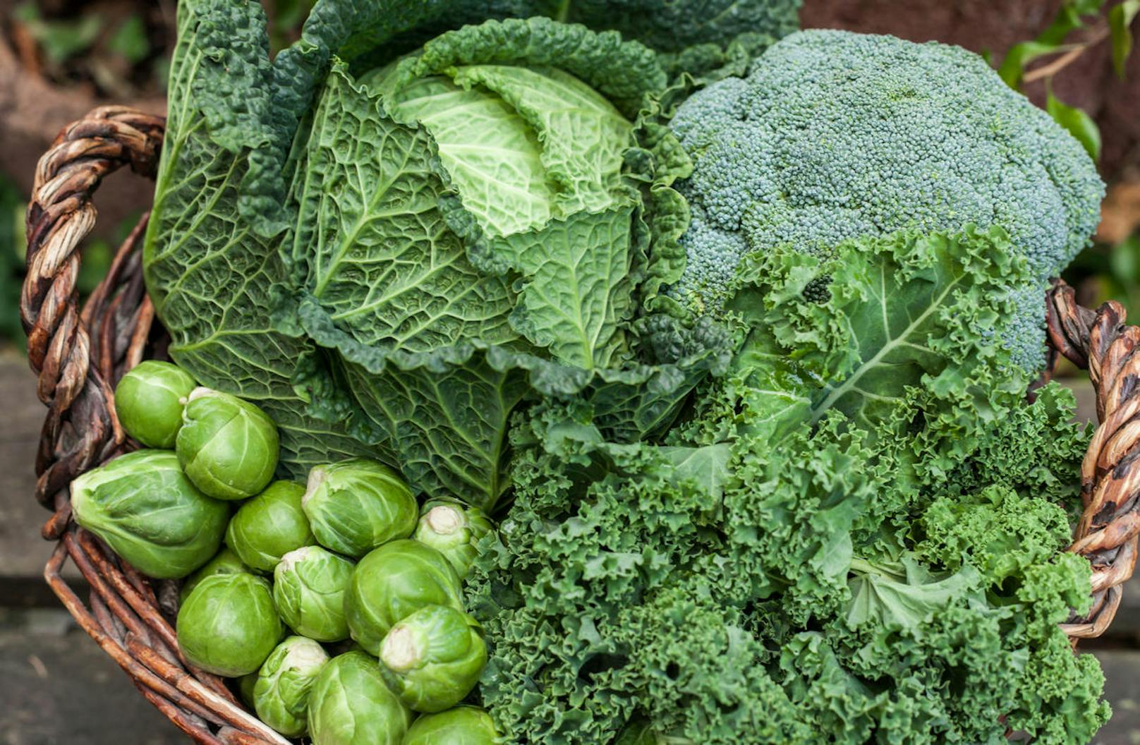 Die meisten Gemüsesorten müssen geerntet werden, bevor es kalt wird. Anders Grünkohl.