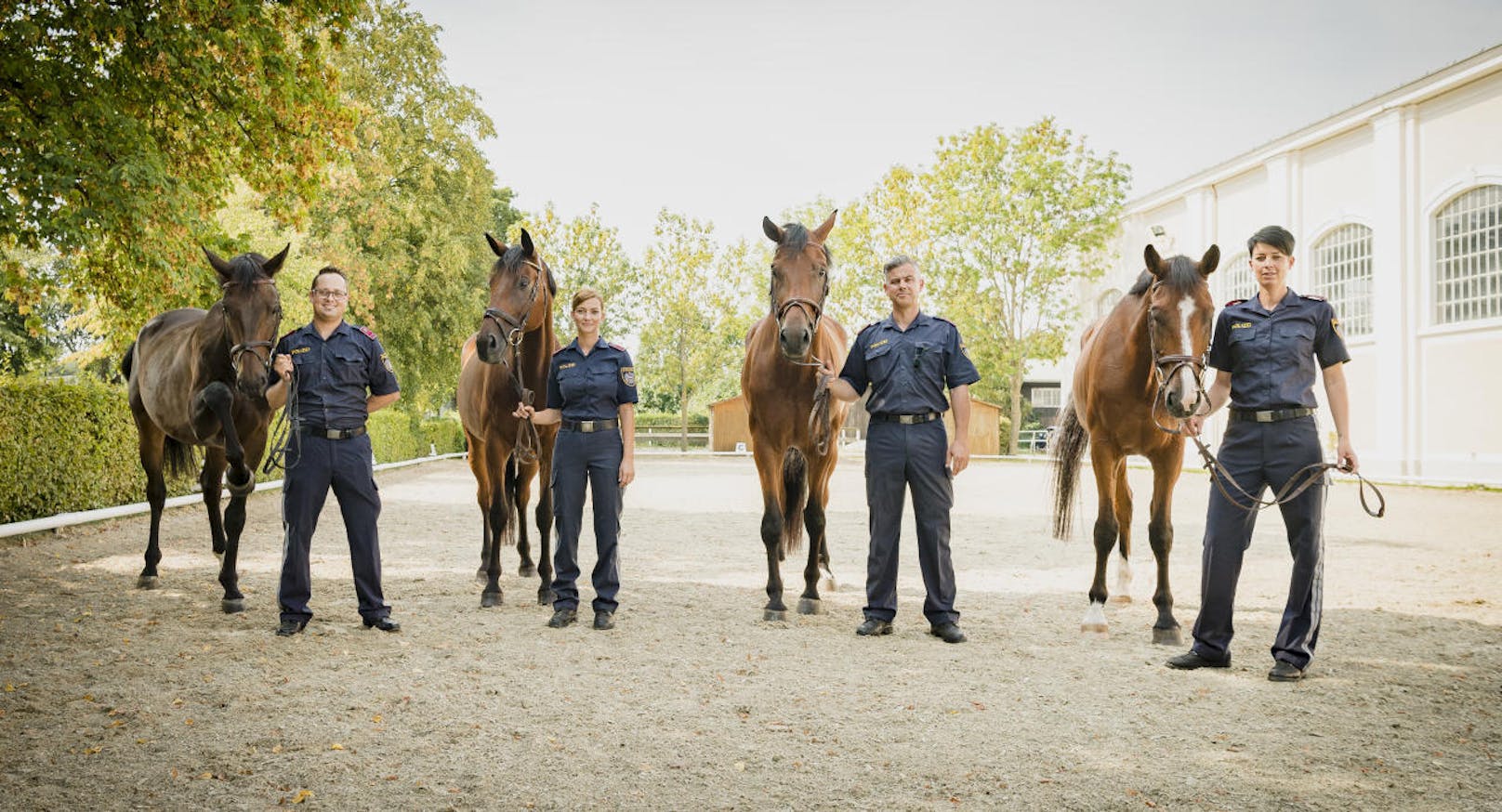 Die geplante Wiener Polizei-Pferdestaffel wird in der Theresianischen Militärakademie in Wiener Neustadt ausgebildet.