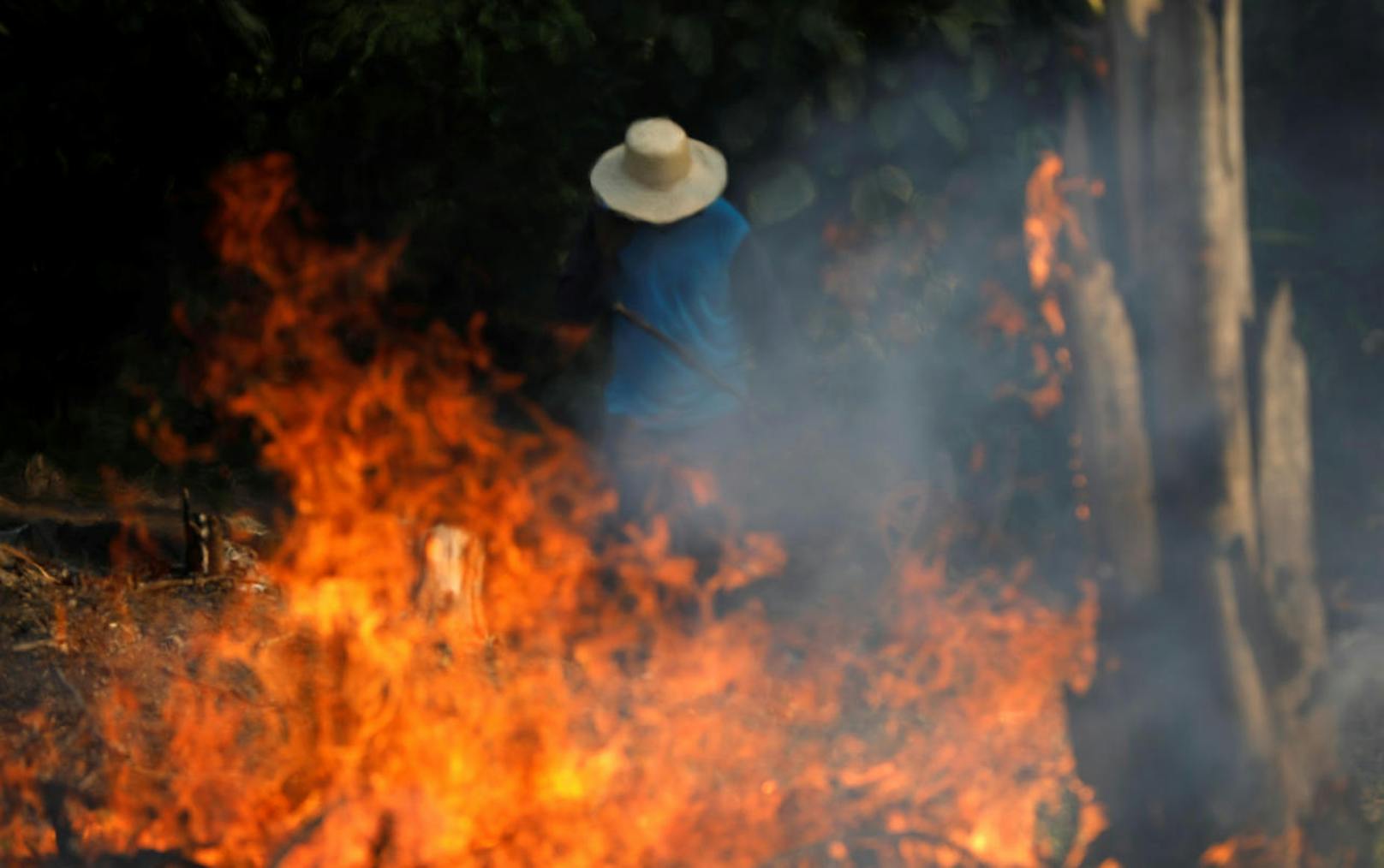 In Brasilien toben die schlimmsten Waldbrände seit Jahren.