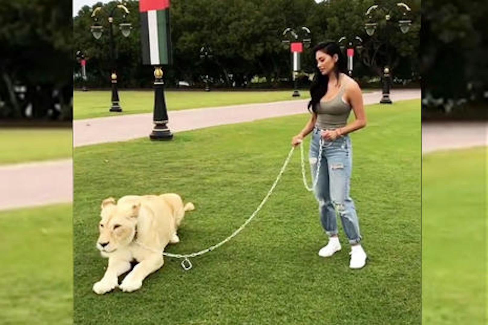 Für diese Fotos bekam Nicole einen ordentlichen Shitstorm. Im Zoo von Dubai hielt sie eine Löwin an der Leine ...