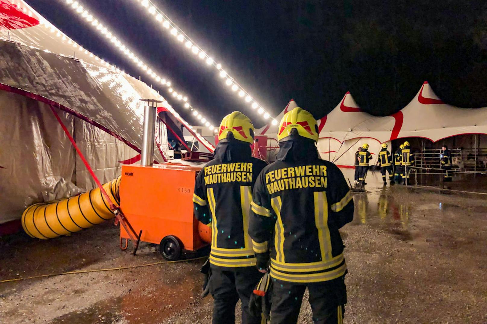 Die Feuerwehr Mauthausen mussten am 21. Dezember zu einem nicht ganz alltäglichen Einsatz ausrücken. Das Notfallstichwort lautete: "Zirkustiere unter Wasser"