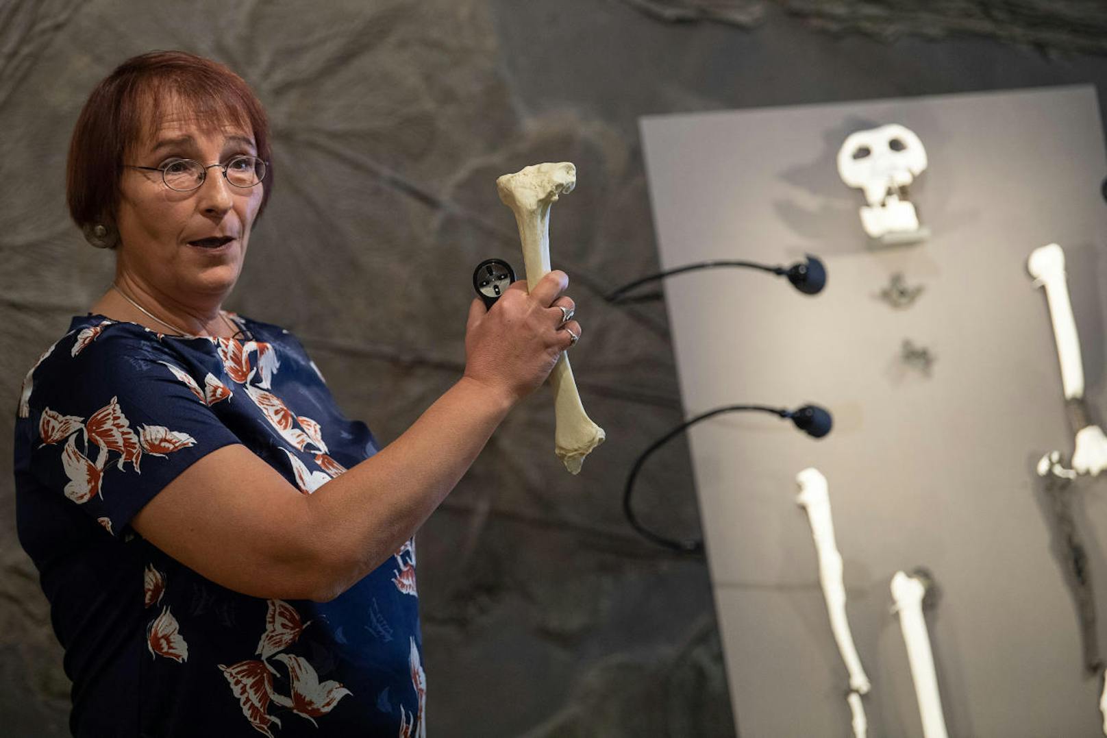 Laut dem Forscherteam um Madelaine Böhme (Bild) von der Universität Tübingen hat "Danuvius guggenmosi" vor 11,6 Millionen Jahren gelebt.