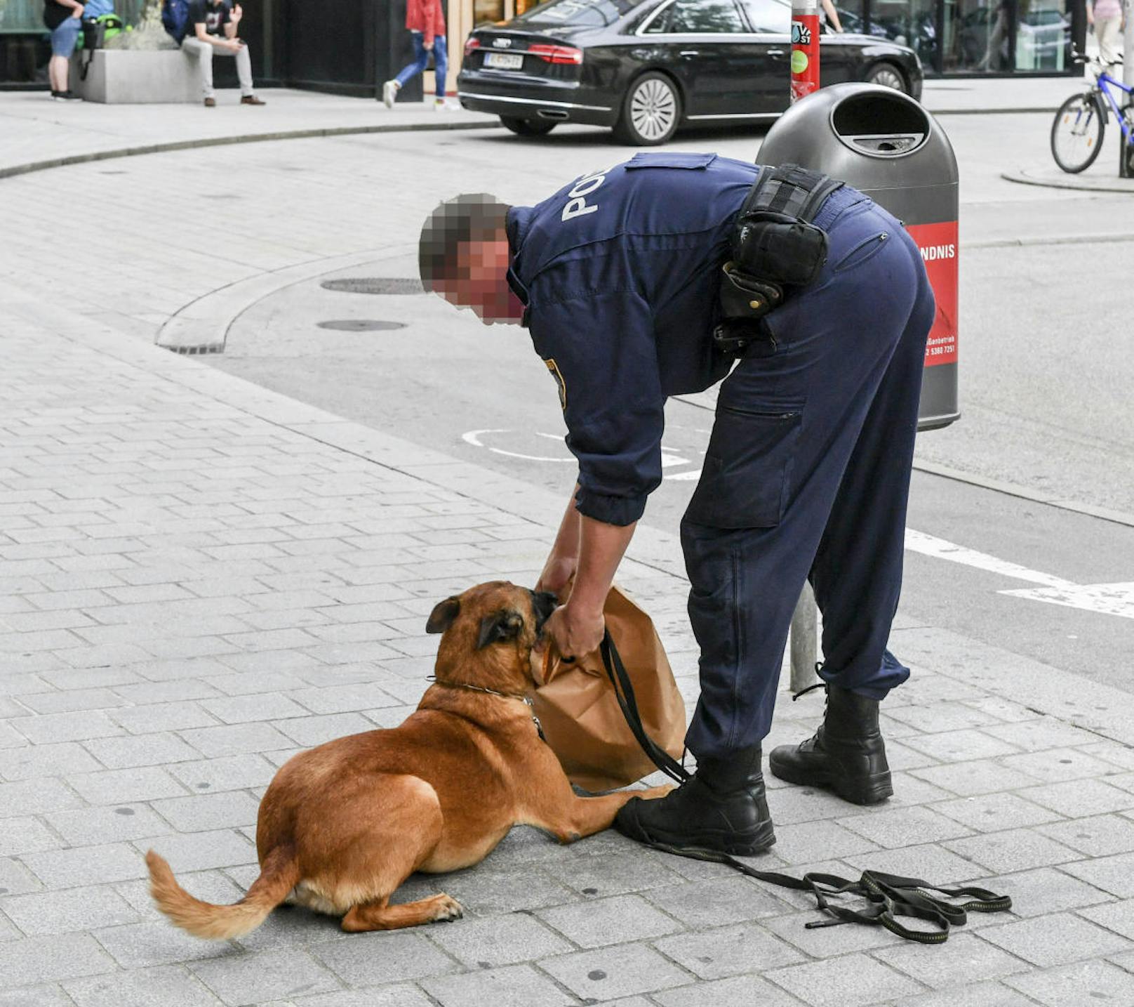 Ein Suchhund der Polizei nahm die Fährte auf.
