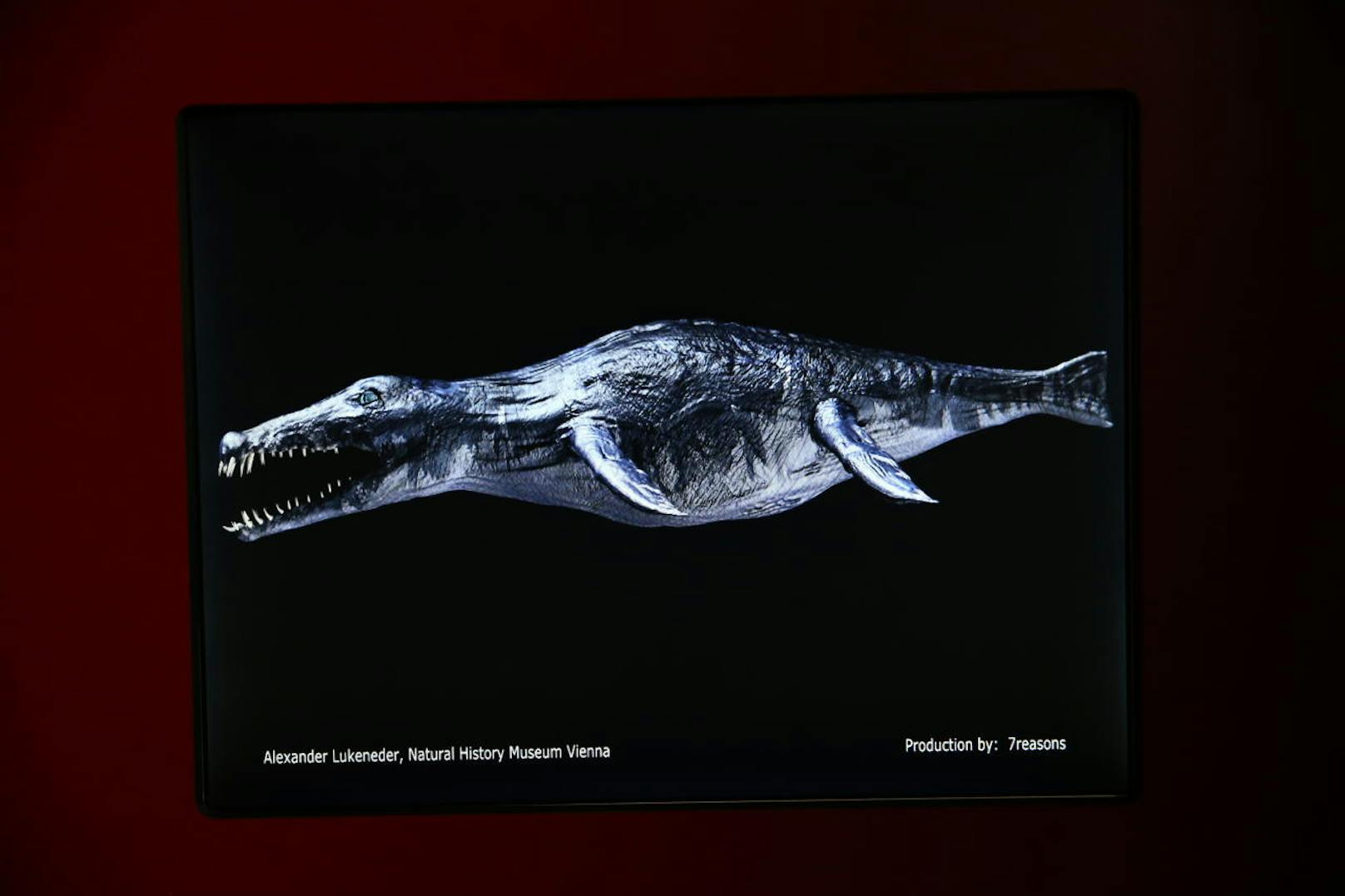 Bei der Untersuchung des Pliosaurierzahns unter dem Rasterelektronenmikroskop zeigte sich: Auch der krokodil-ähnliche Räuber hatte schon Karies. Ob noch zu Lebzeiten, lässt sich aber nicht mehr klären.