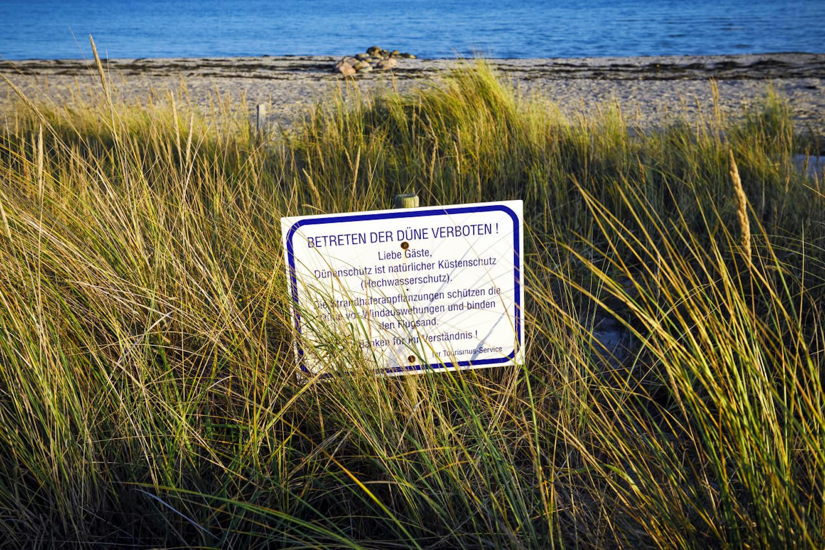 <b>Strandspaziergänge:</b> Durch die Dünen der Nord- oder Ostseeküste darf man nur auf vorgegebenen Wegen spazieren. Das Abkürzen über Sand und Pflanzen ist verboten. Denn Dünen sind nicht nur Lebensraum für Tiere und Pflanzen, sondern dienen auch dem Küstenschutz.