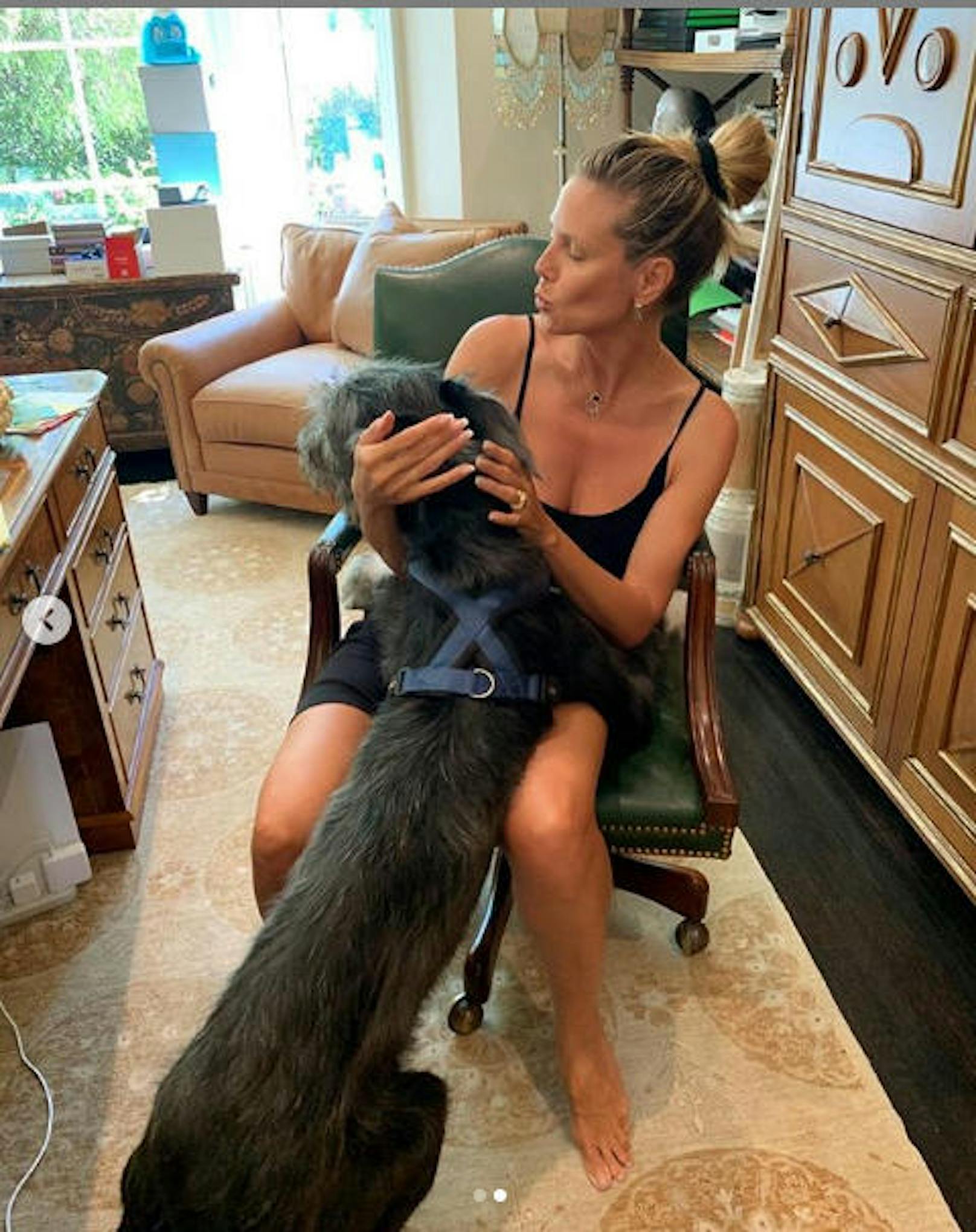 27.08.2019: Heidi Klum und Tom Kaulitz zeigen auf Instagram ihr neues Familienmitglied. Der Irische Wolfshund, der erst fünfeinhalb Monate alt ist, heißt Anton.