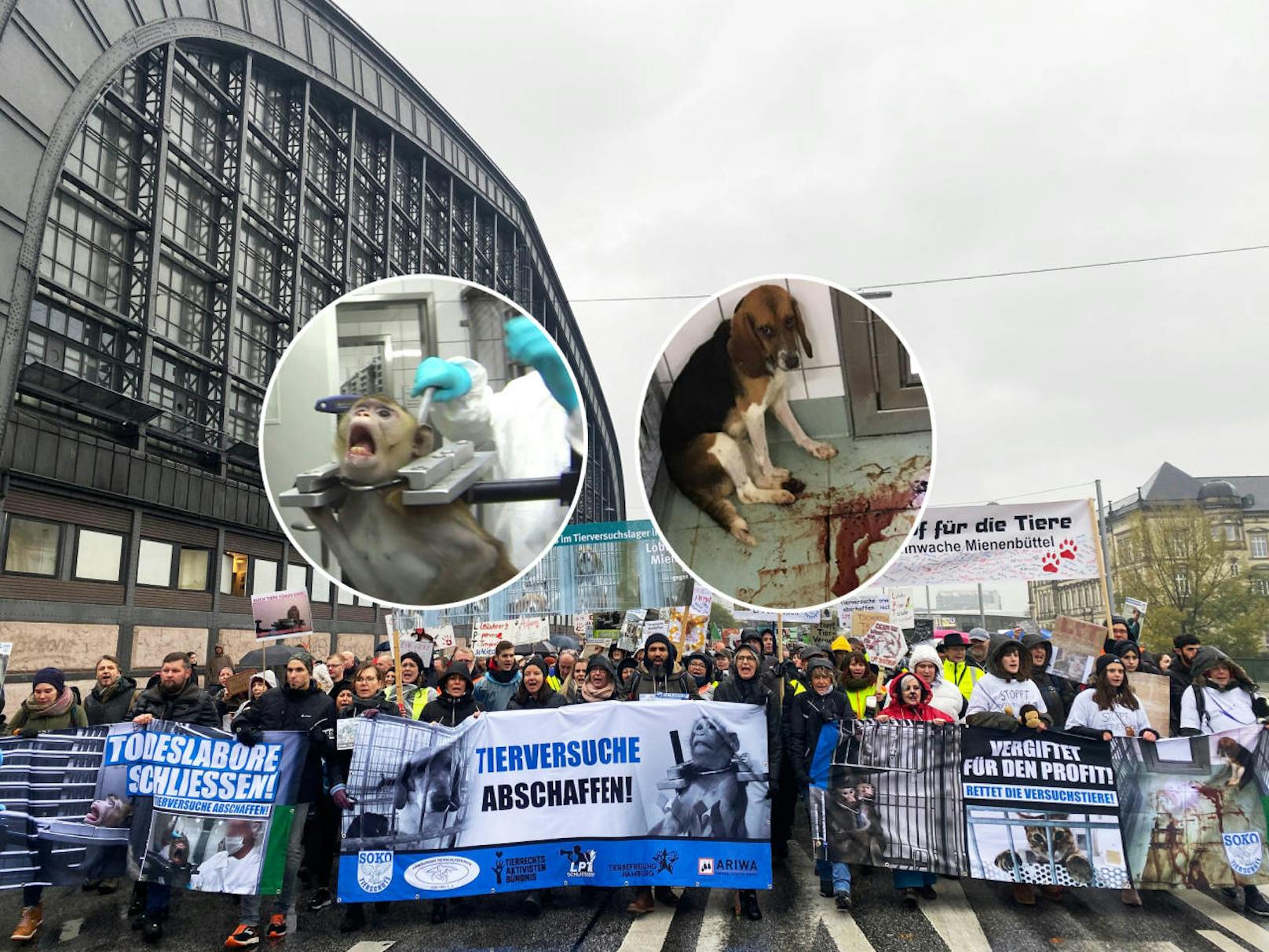 Die Soko Tierschutz rief vergangene Woche erneut zu einer friedlichen Demonstration gegen das Tierversuchslabor auf.