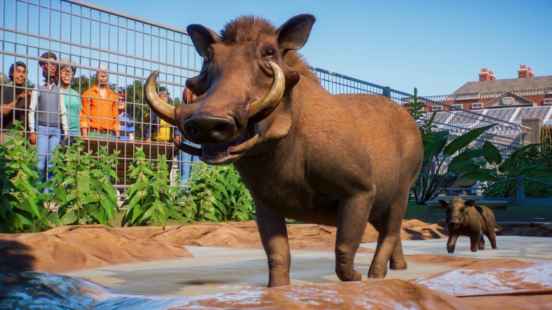 Alleine die Grafik lässt die Konkurrenz erblassen. Statt oberflächlich gestalteter oder pixeliger Tiere gibt es in "Planet Zoo" ...
