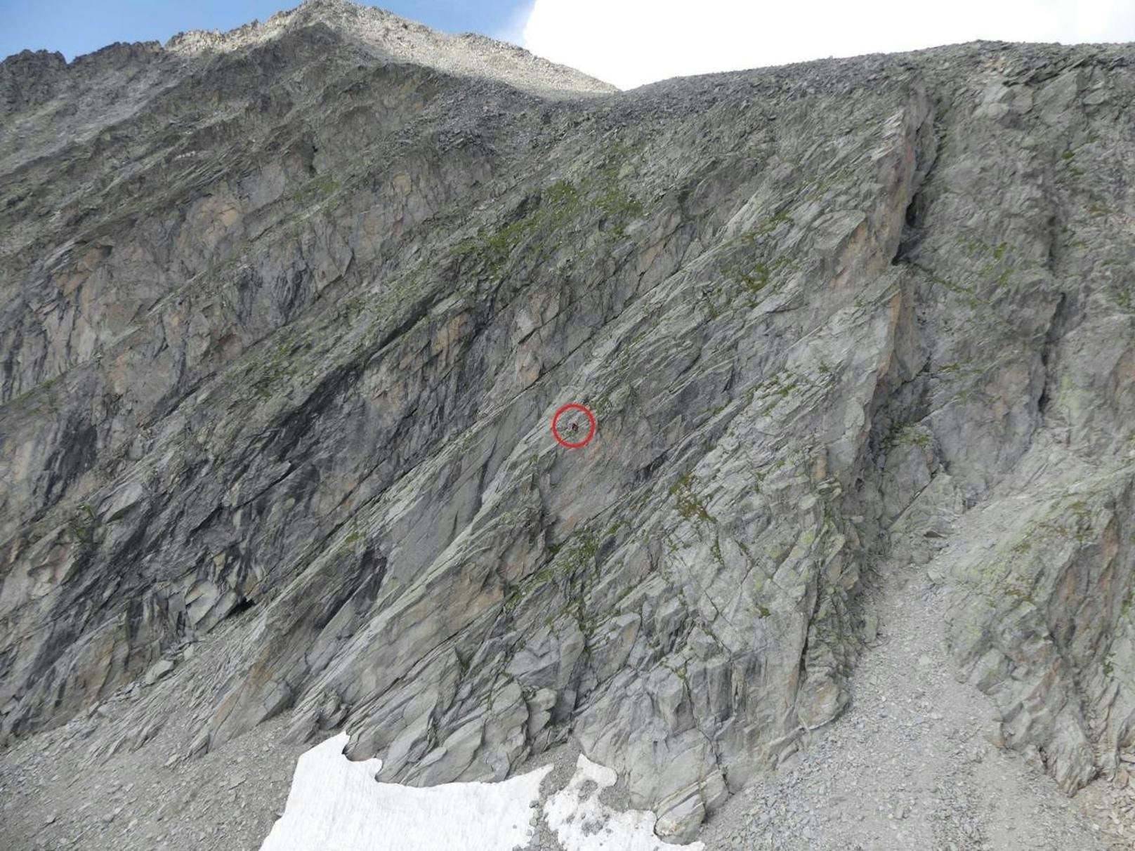 Der Bergsteiger (siehe roter Kreis) aus NÖ war vom markierten Weg abgekommen.