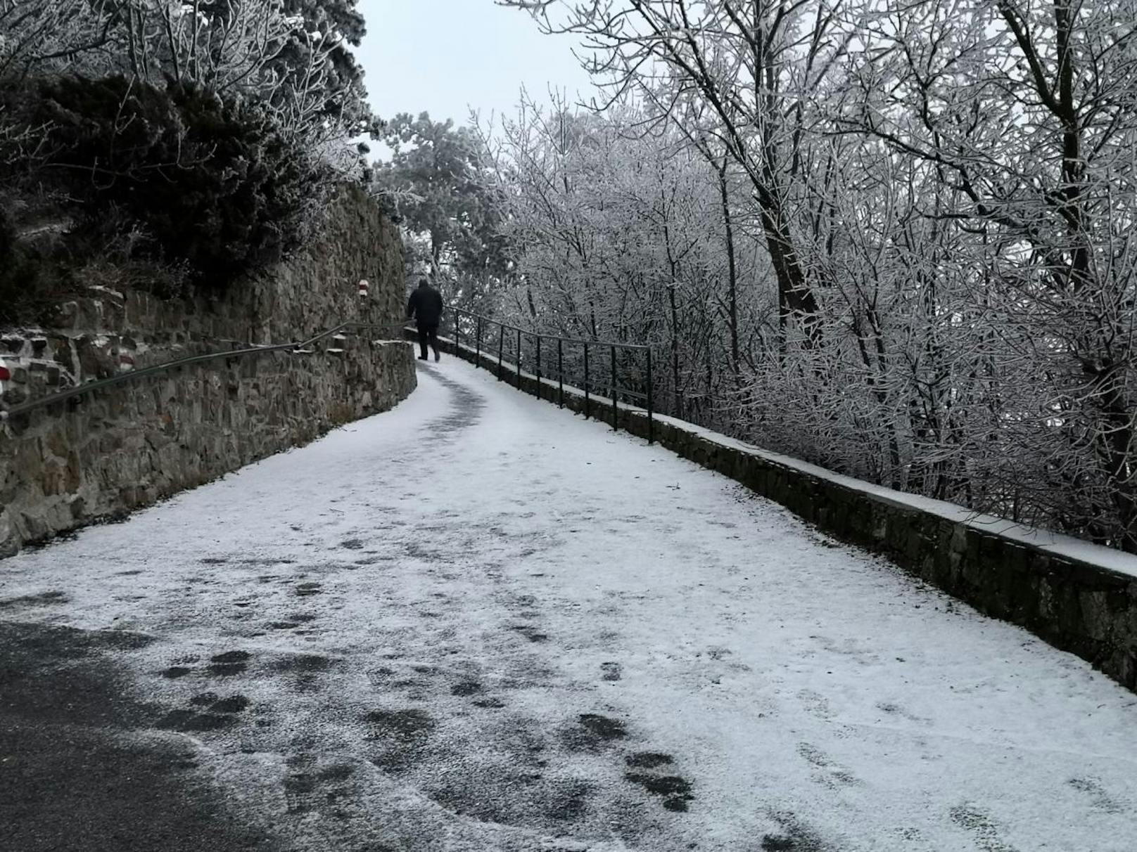 Schnee und Eis machten den Wiener Leopoldsberg am 15. Jänner 2020 zum Winter Wonderland.