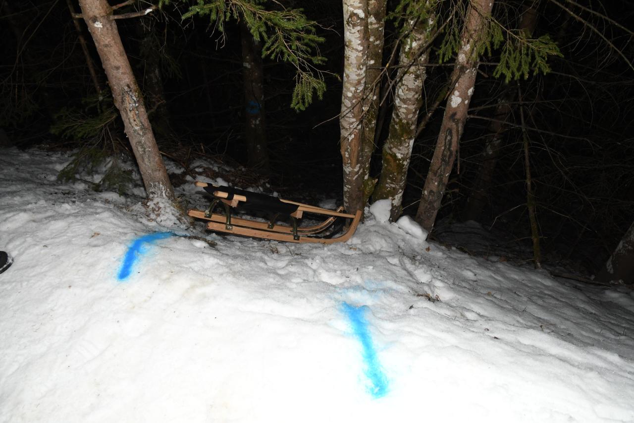 Die beiden Schülerinnen krachten mit einer Rodel gegen einen Baum.