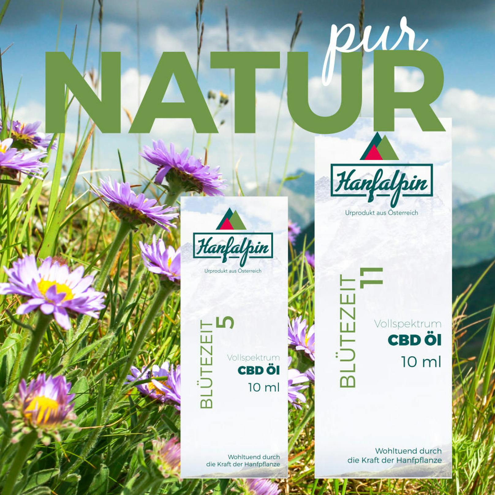 Heute am 02.12. gibt es Bio CBD Produkte von Hanfalpin im Wert von 220 Euro zu gewinnen.