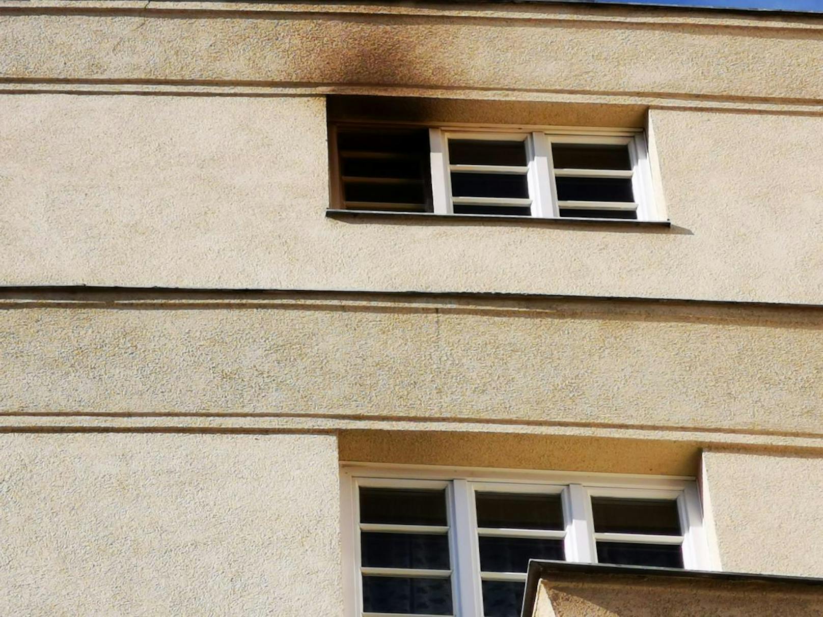 Ein aufmerksamer Bewohner bemerkte in der Nacht auf Samstag um 23 Uhr Brandgeruch in einer der Stiegen der weitläufigen Wohnhausanlage in der Jedleseer Straße in Wien-Floridsdorf und verständigte die Feuerwehr.