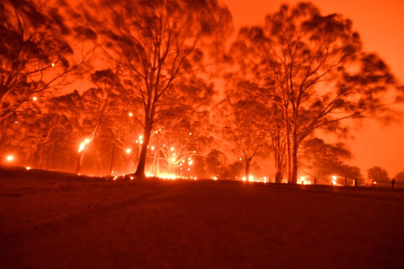 Seit Oktober wüten die Buschbrände in Australien.
