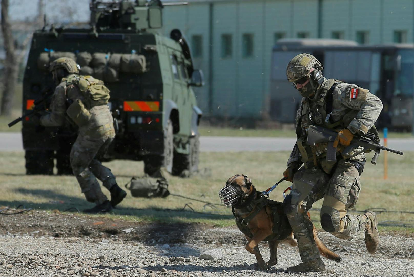 Soldaten des österreichischen Jagdkommandos bei einer Übung mit Hunden.
