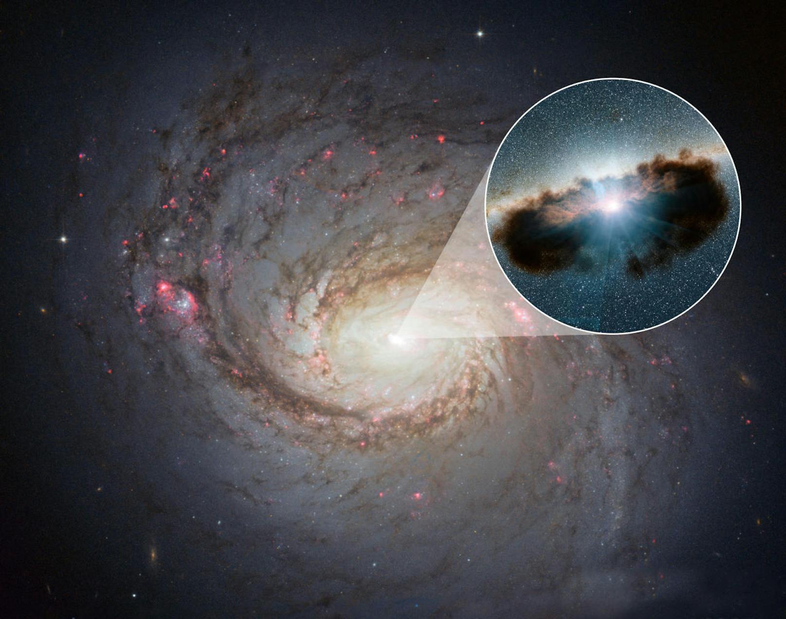Im Zentrum der Milchstraße befindet sich das wohl bislang am besten untersuchte schwarze Loch. Es hat aber "nur" vier Millionen Sonnenmassen.