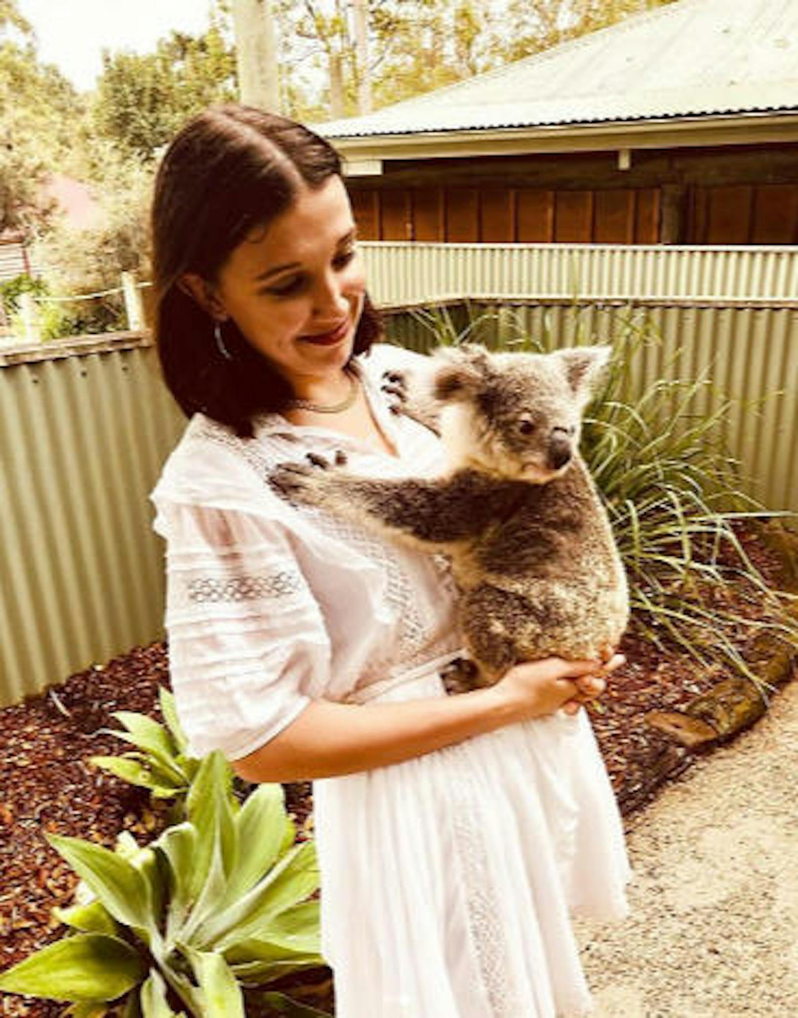 03.03.2018: "Stranger Things"-Star Millie Bobby Brown durfte auf ihrer Australien-Reise mit einem Koala schmusen. "Die Liebe meines Lebens", schrieb sie dazu. 