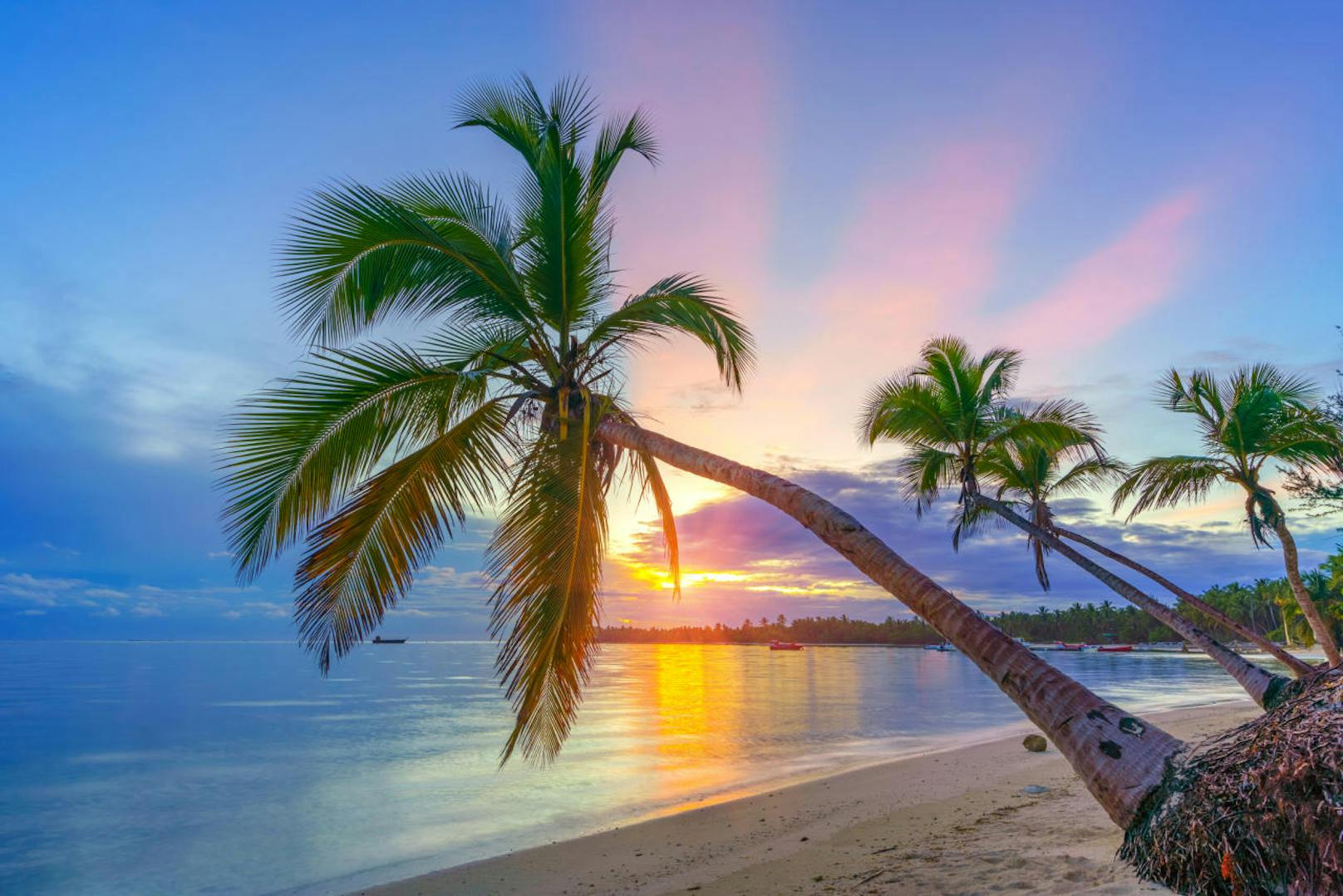 <b>7. Dominikanische Republik - bis zu 7,5 Sonnenstunden pro Tag</b>

Dezember ist die optimale Reisezeit für die Dominikanische Republik, da die Hurrikan-Saison vorbei ist und die trockene, weitestgehend sonnige Zeit des Jahres beginnt. Bei rund siebeneinhalb Sonnenstunden am Tag genießen Badegäste die hochsommerliche Wärme an den weißen Stränden und im durchschnittlich 27 Grad warmen Meerwasser.