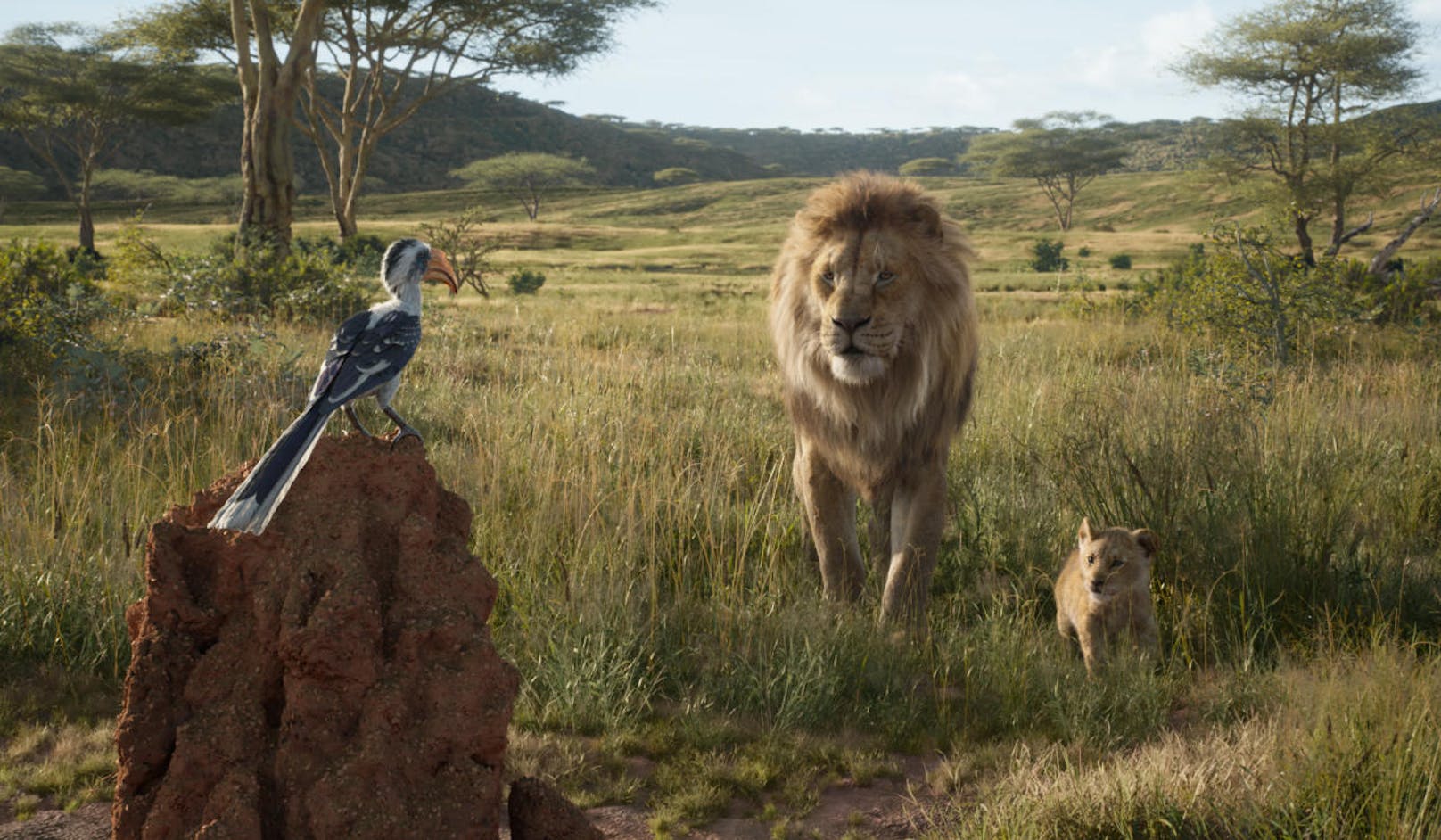 Mufasa (mit der Stimme von James Earl Jones) unterrichtet seinen Sohn Simba (JD McCrary).
