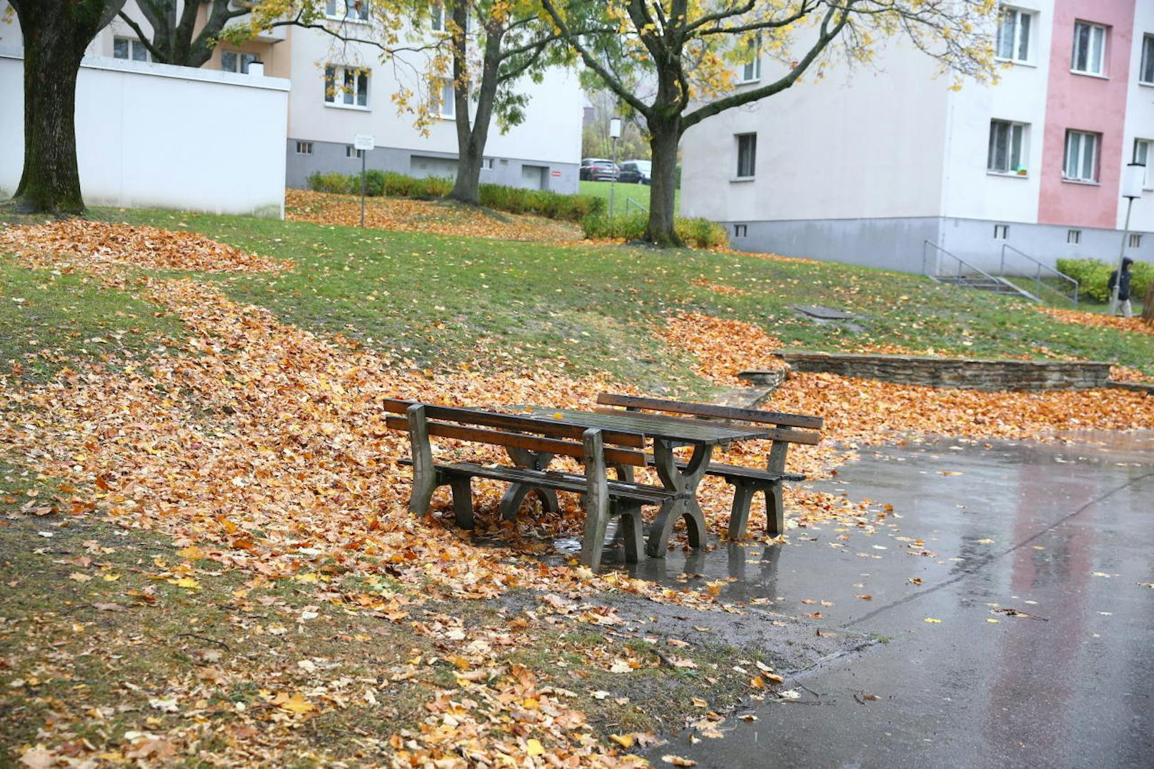 Tatort Gemeindebau: Vor der Tragödie saß das Opfer hier gemeinsam mit einer jungen Frau.