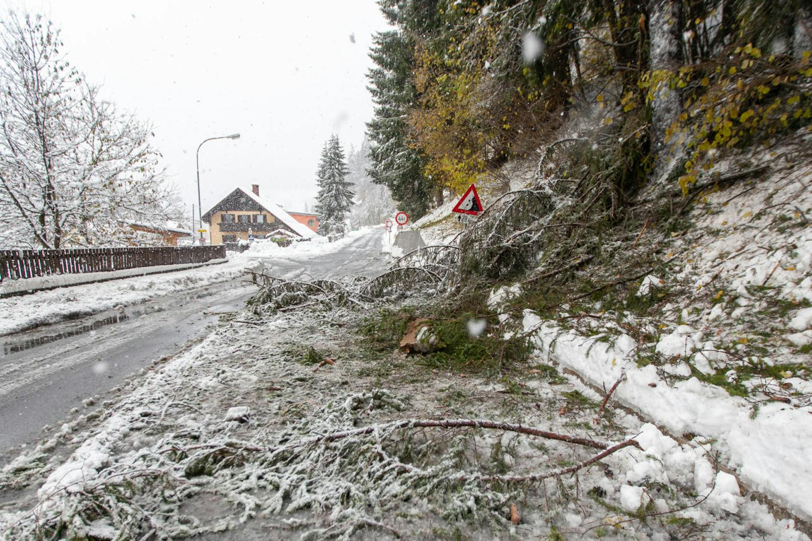 Durch den Wintereinbruch sind vielerorts (wie hier in Kötschach-Mauthen in Kärnten) Bäume unter der Schneelast umgeknickt und haben Straßen versperrt.