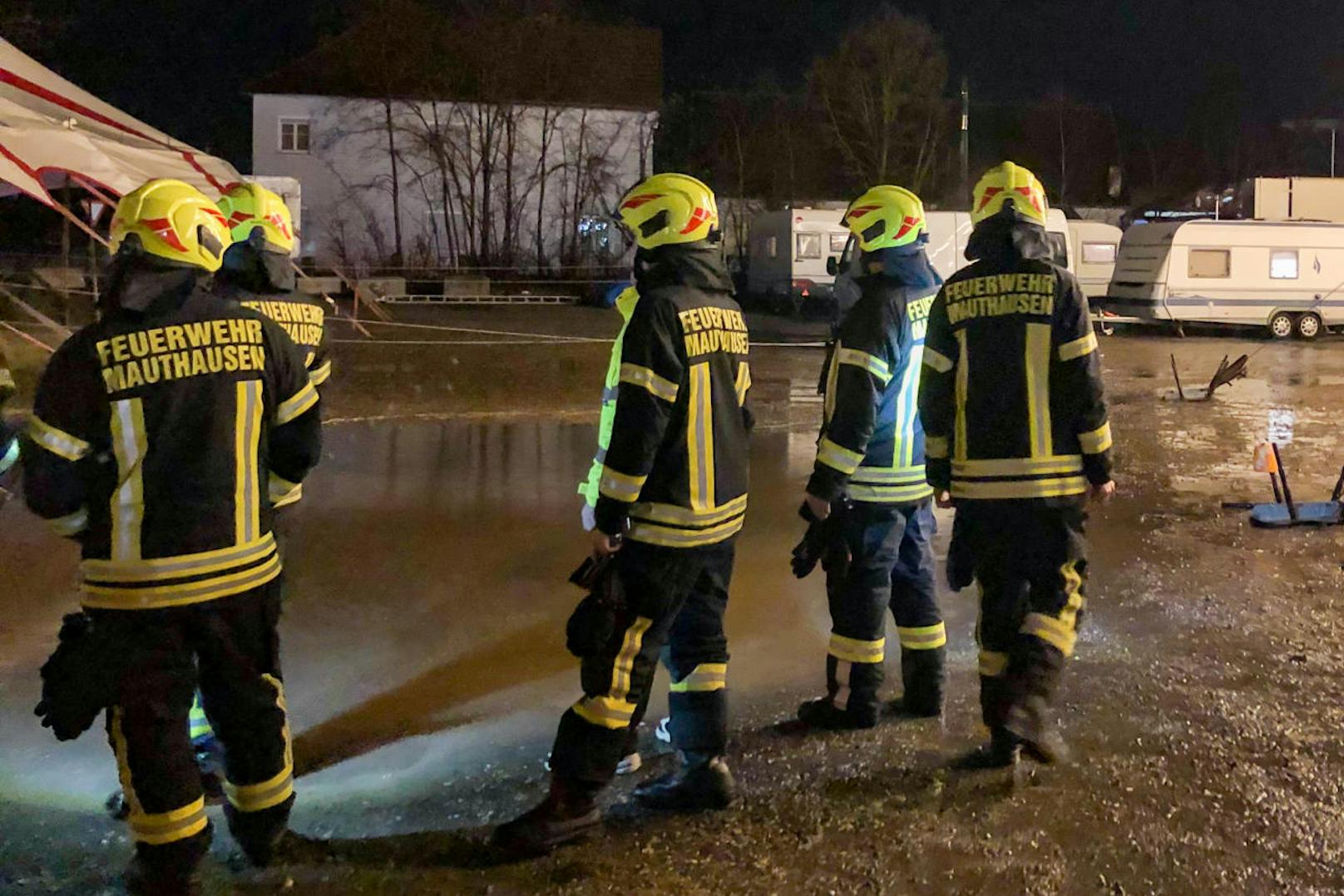 Die Feuerwehr Mauthausen mussten am 21. Dezember zu einem nicht ganz alltäglichen Einsatz ausrücken. Das Notfallstichwort lautete: "Zirkustiere unter Wasser"