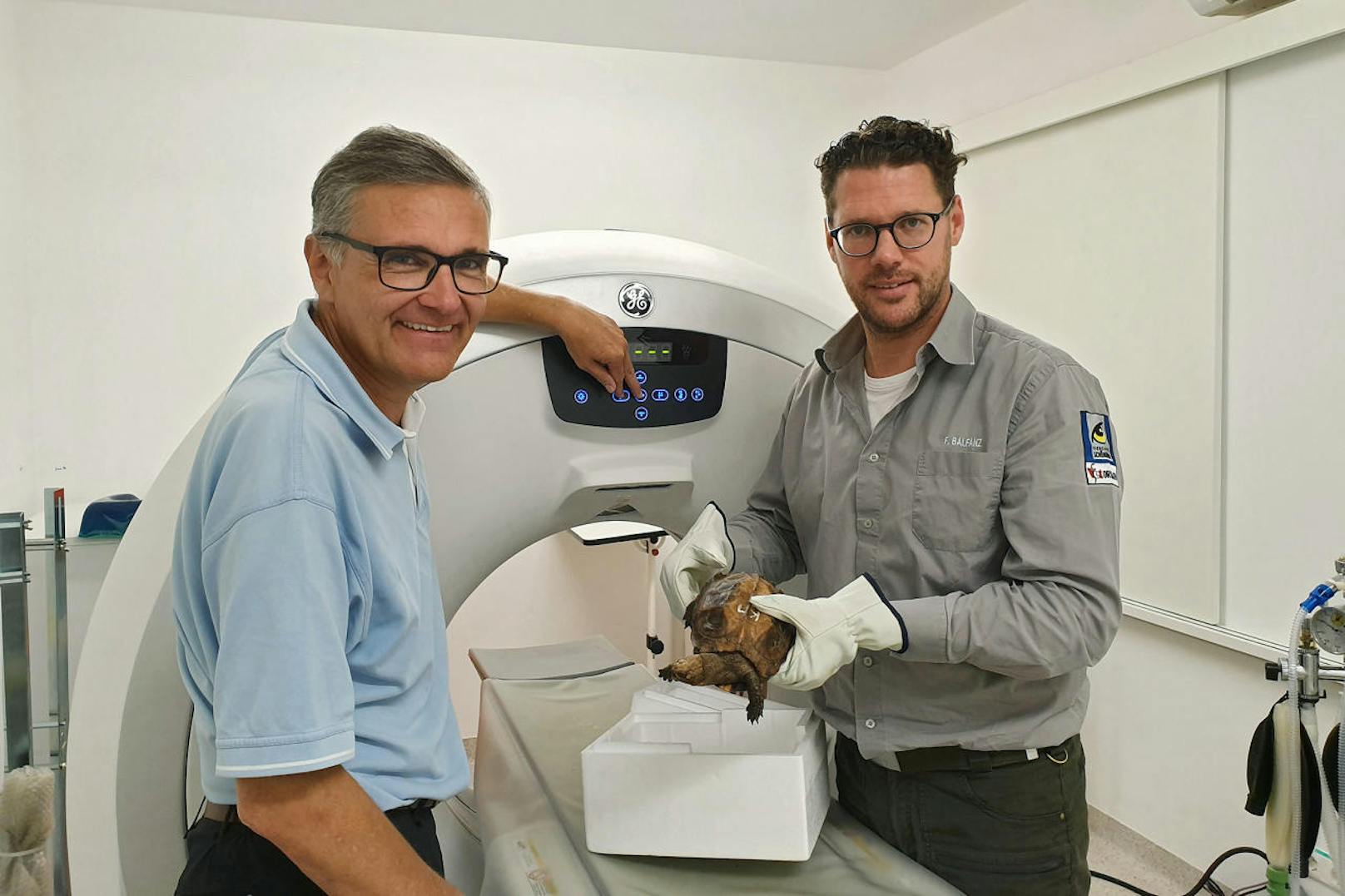 ... wie CT-Untersuchungen von Schildkröten (hier mit Tierarzt-Kollegen Folko Balfanz).