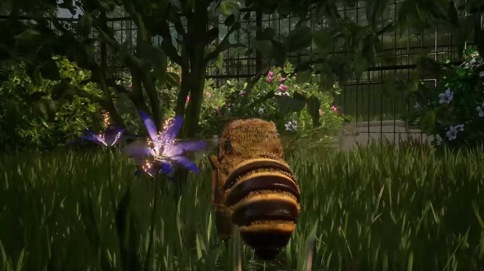 Varsav Game Studios und Bigben freuen sich, die Unterzeichnung einer Vereinbarung für Publishing und Vertrieb von Bee Simulator bekannt zu geben. Der Titel wird Ende 2019 auf Konsolen und PC erscheinen. In Bee Simulator wechseln Spieler die Perspektive und schlüpfen in die Rolle einer Biene, sammeln Pollen und interagieren mit anderen Bienen, der Königin sowie anderen Tierarten. Sie können nach Belieben den Honey Park, eine vom Central Park inspirierte Welt, erkunden, während sie durch Haupt- und Sekundärmissionen zu der Biene werden, die ihren Schwarm retten kann. <a href="https://www.youtube.com/watch?v=NSEQIvAgH9o">Trailer ansehen!</a>