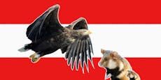 10 Tierarten, die in Österreich bedroht sind