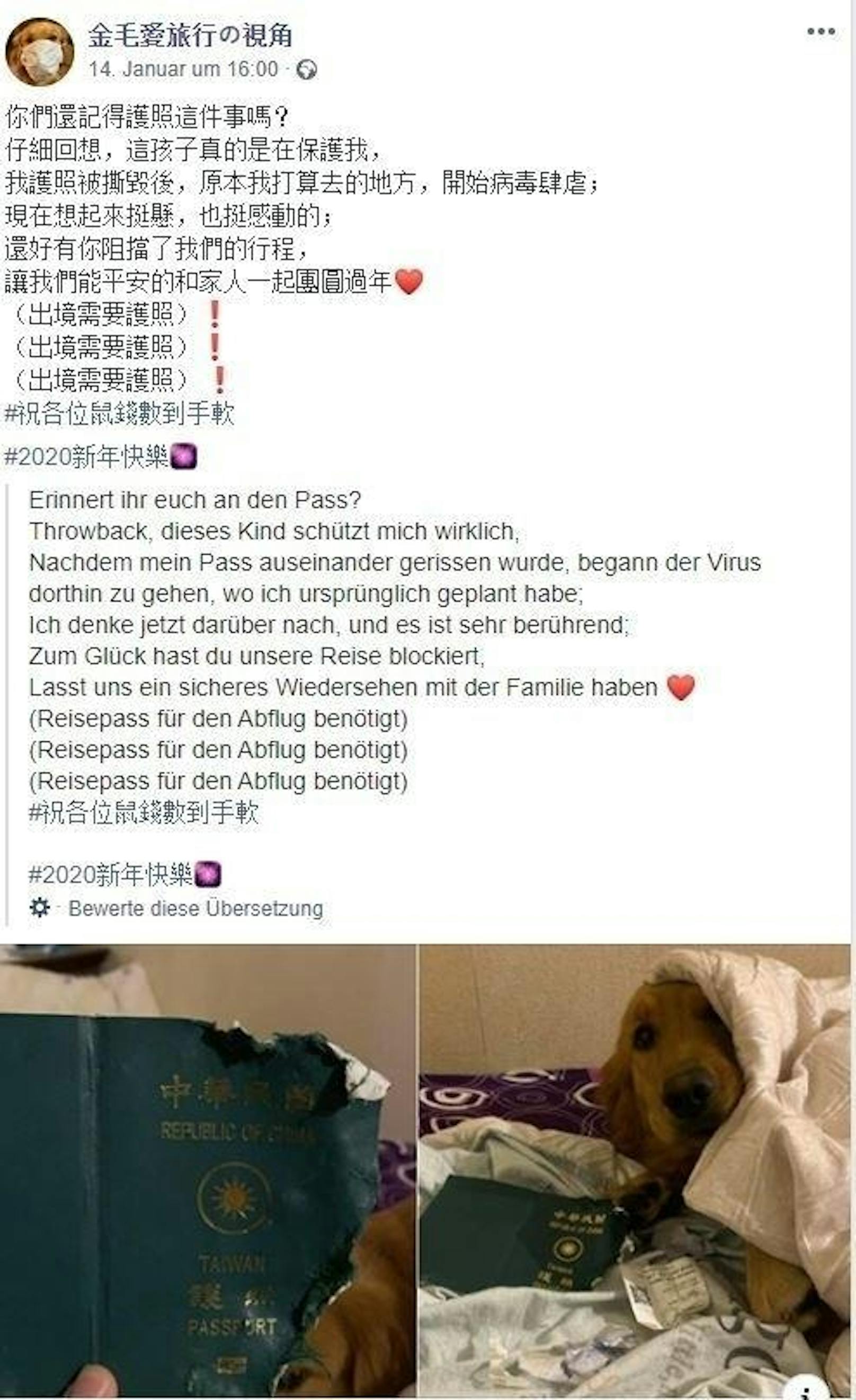 Kurz darauf bricht in Wuhan der Coronavirus aus. Das ändert alles! Frauchen dankt Hund Kimi dafür, dass sie ihren Pass zerstört hat und nicht nach Wuhan fliegen konnte.
