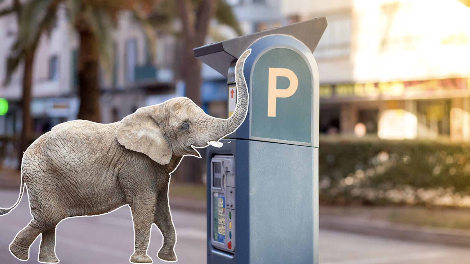 Wer in <strong>Florida</strong> einen Elefanten an eine Parkuhr bindet, muss auch ein Parkticket lösen. Die Gebühr beträgt dieselbe wie bei einem PKW.&nbsp;