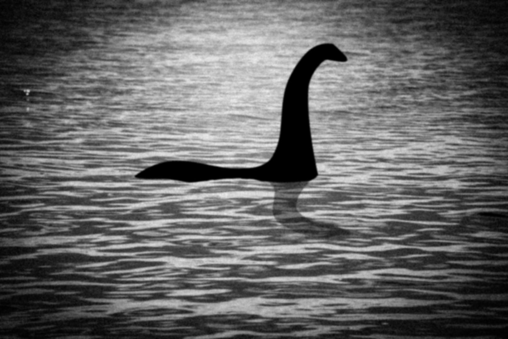 In Großbritannien gibt es seit 1934 ein Gesetz, dass das "Ungeheuer von Loch Ness" unter Naturschutz stellt, sollte es existieren. Der Grund?  Man wollte Wilderern und Trophäenjägern gesetzlich Einhalt gebieten können, sollte Nessie tatsächlich einmal auftauchen.