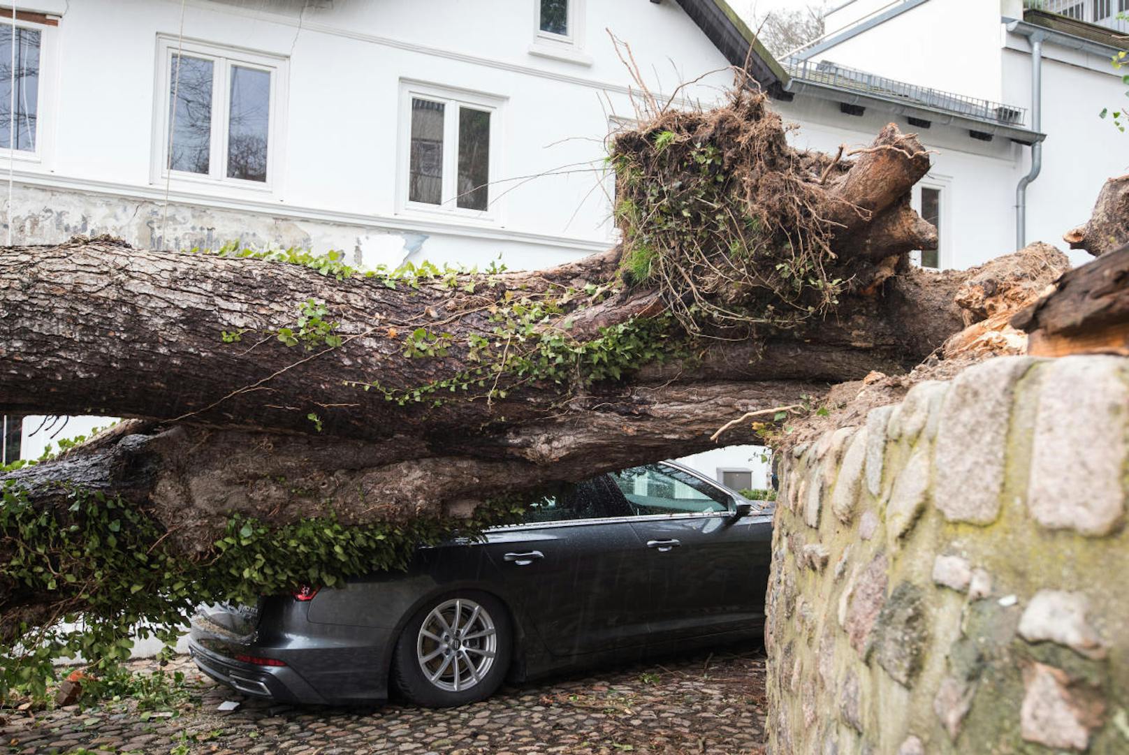 Ein umgestürzter Baum liegt im Stadtteil Blankenese, Hamburg, auf einem Auto.