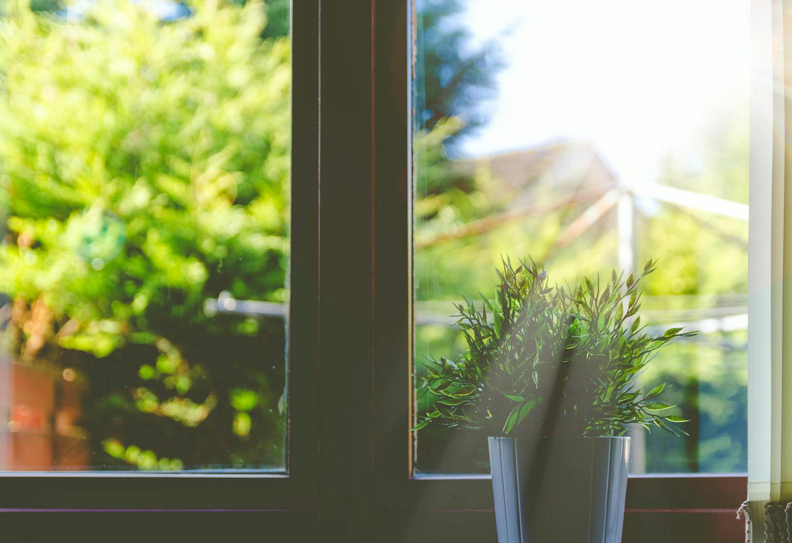 <strong>Fenster putzen:&nbsp;</strong>Essig eignet sich auch hervorragend zum Fensterputzen. Der Essig löst Flecken sehr leicht und sorgt dafür, dass die Fenster streifen- und schlierenfrei sind. Das liegt daran, dass die meisten solcher Schlieren Kalkspuren sind – und Essig löst die auf.